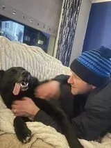 Dogs for adoption Spain, now adopted in the UK
