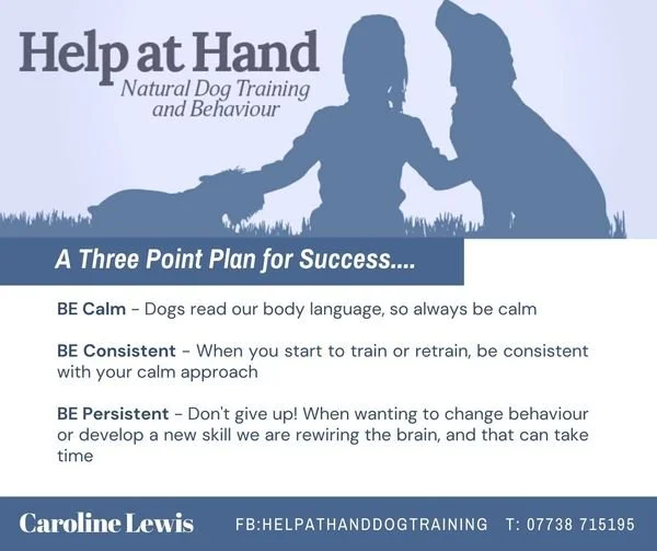 Help at Hand Dog Behaviour with Caroline Lewis