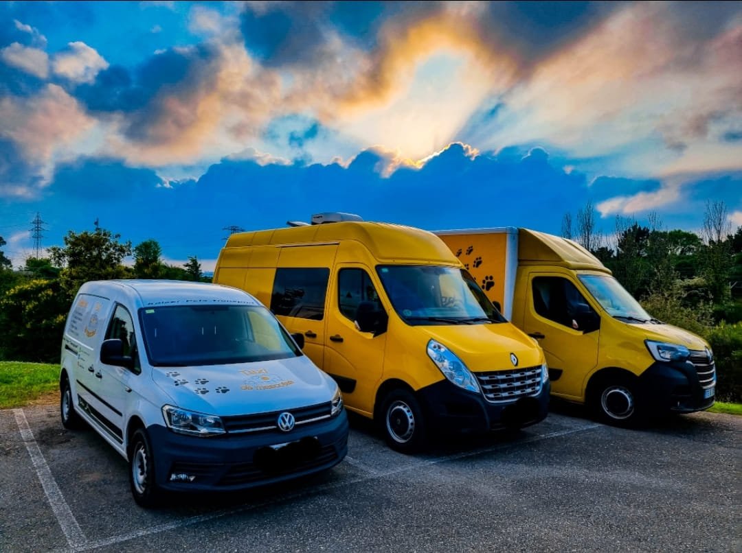 Fleet of vans Kaiser Pets Transport, Spain rescue dogs, adopt a dog from Spain, Spanish dog rescue