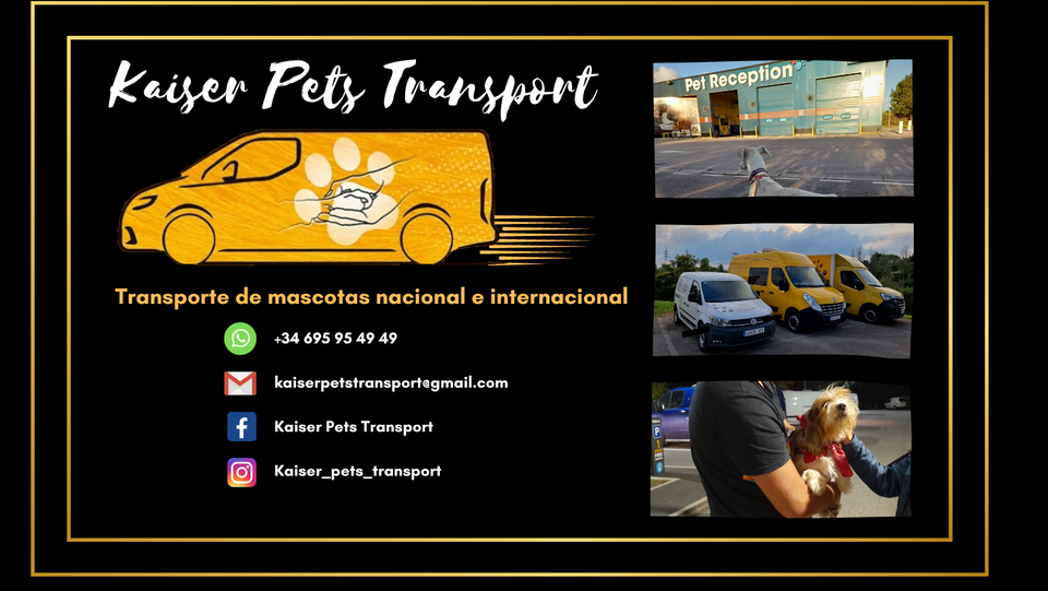 Kaiser Pets Transport contact information, Spain rescue dogs, adopt a dog from Spain, Spanish dog rescue