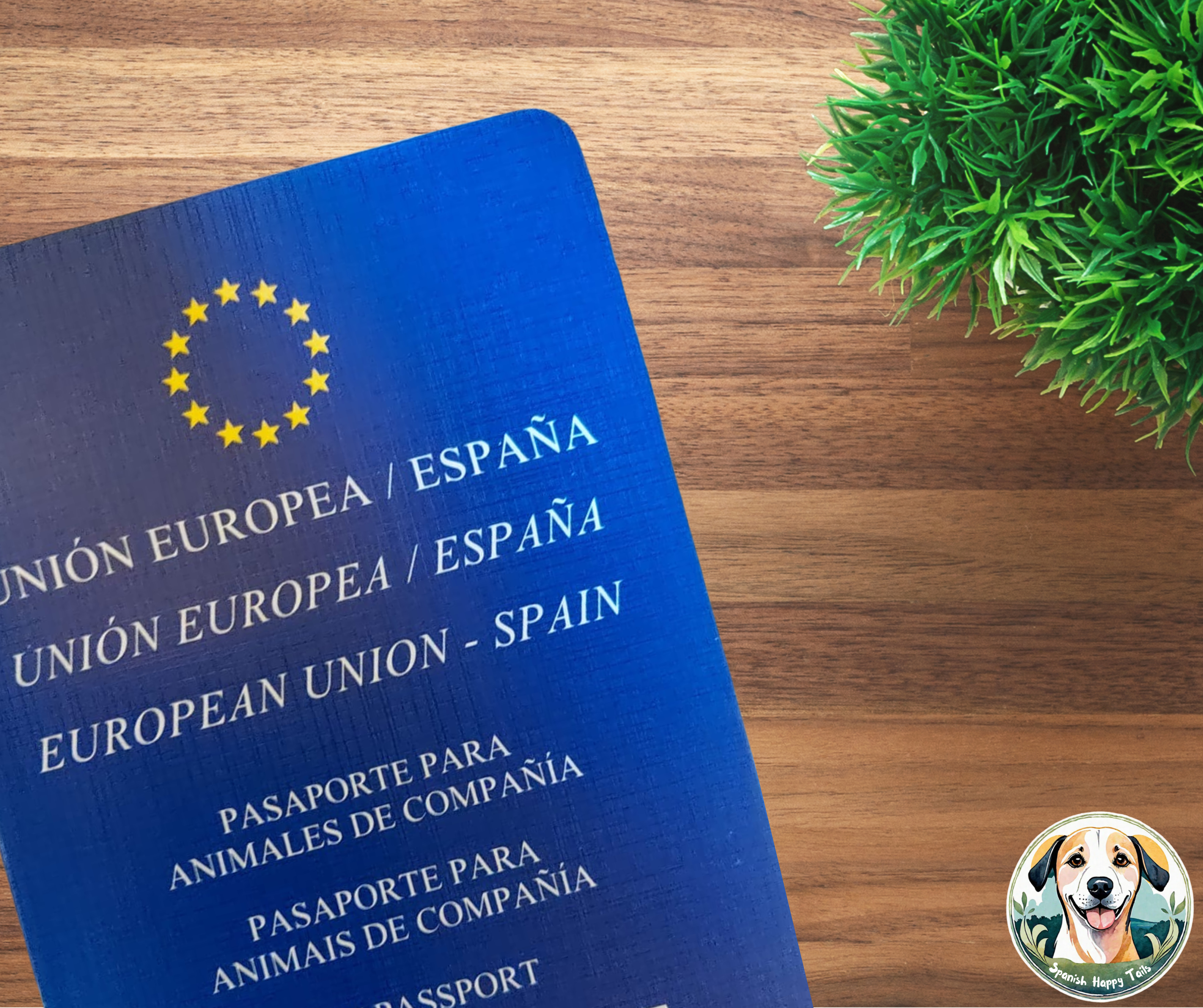 Pet passports and the rules for getting your Spanish rescue dog to the UK