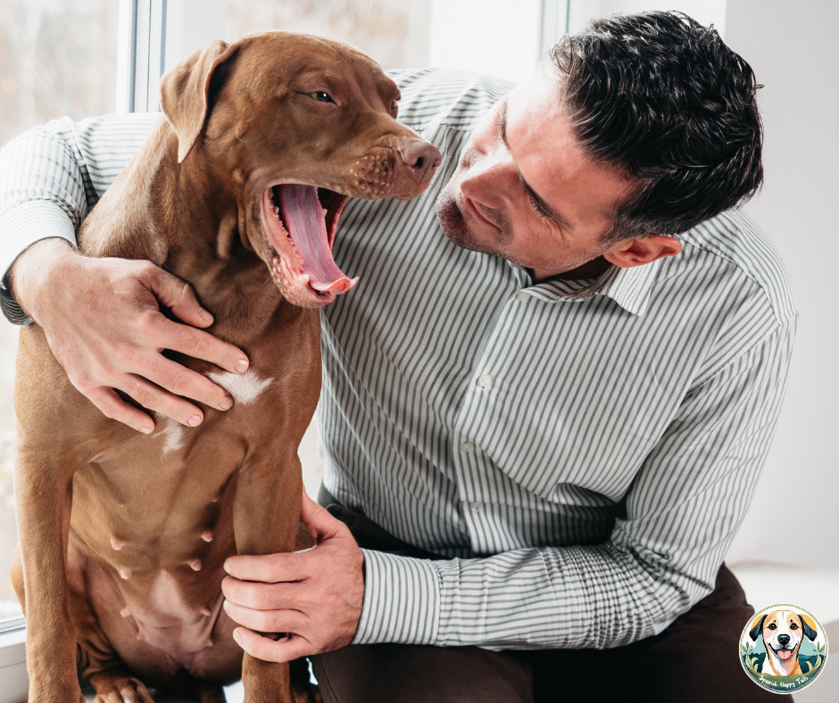 Settling in a rescue dog