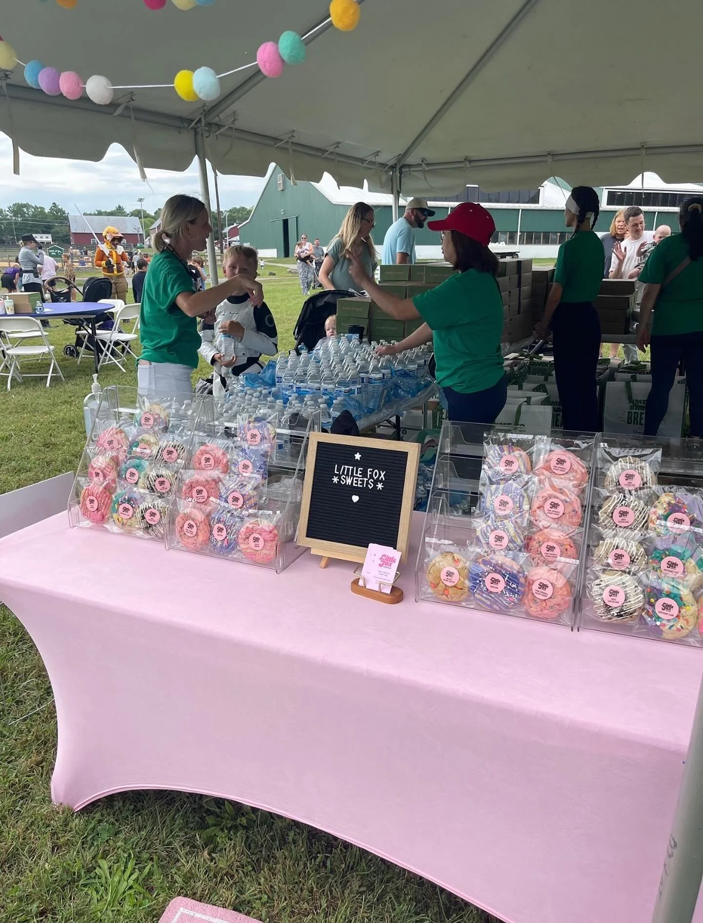 I had a delightful time at the inova NICU reunion event today at Frying Pan Park! Thanks for having me!! ❤️