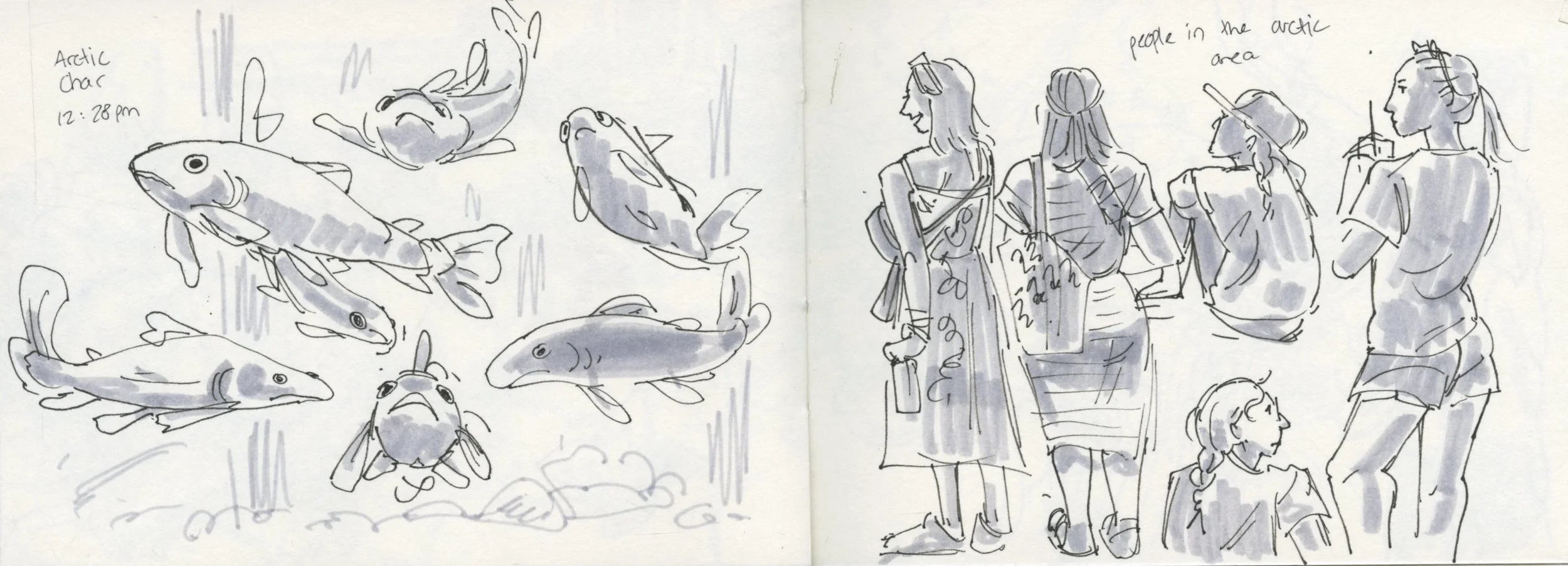 A sketch featuring six fish on the left side, with a group of five people on the right, including a woman with a backpack, a woman with glasses, a woman in a dress, and a seated young girl, all observing or interacting, labeled "people in the Arctic 