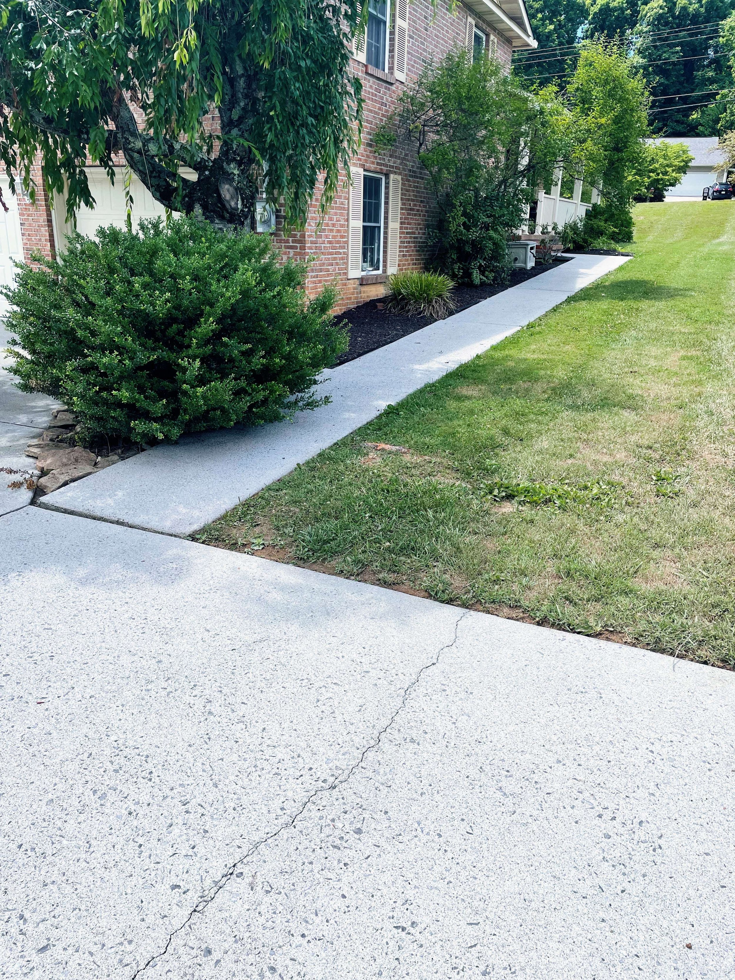 Driveway & Concrete Cleaning