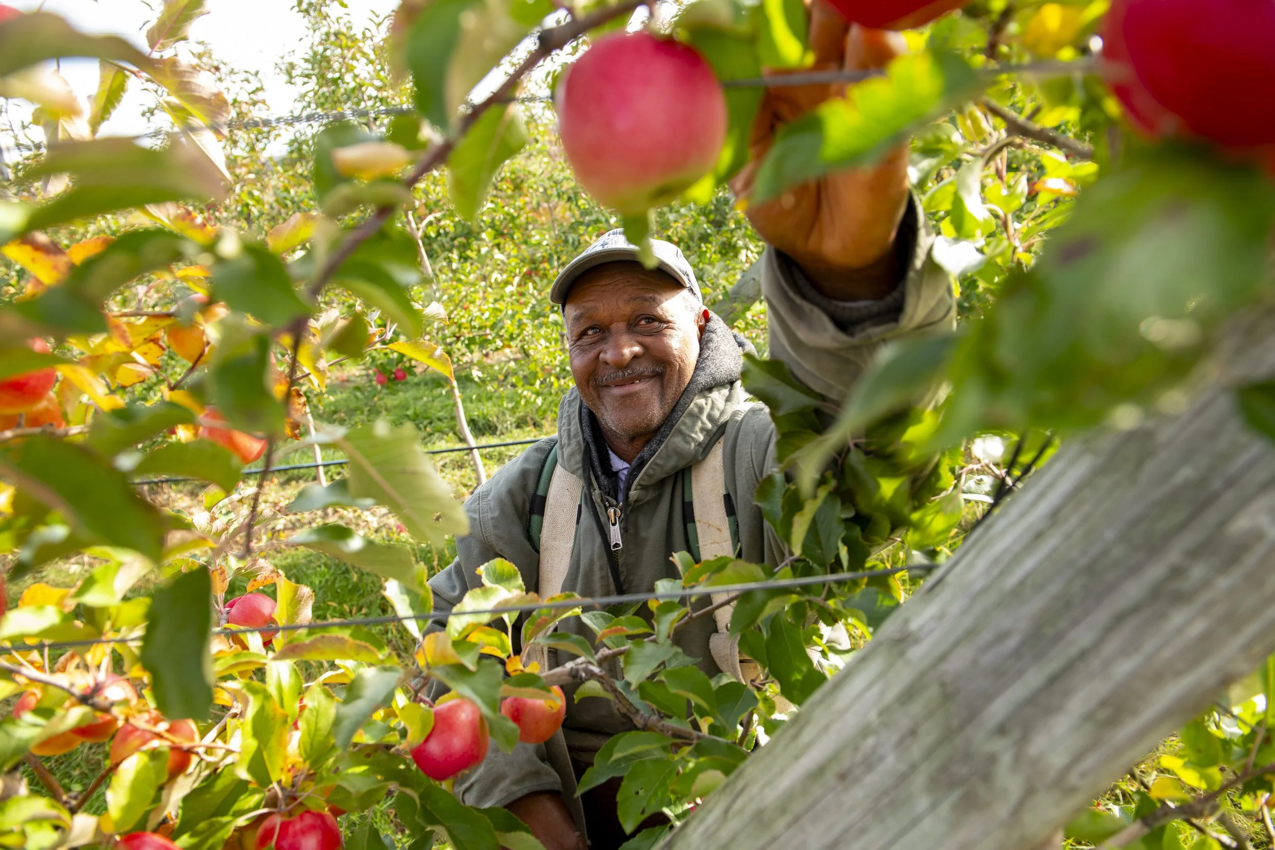 VermontShorehamApples-93.jpg