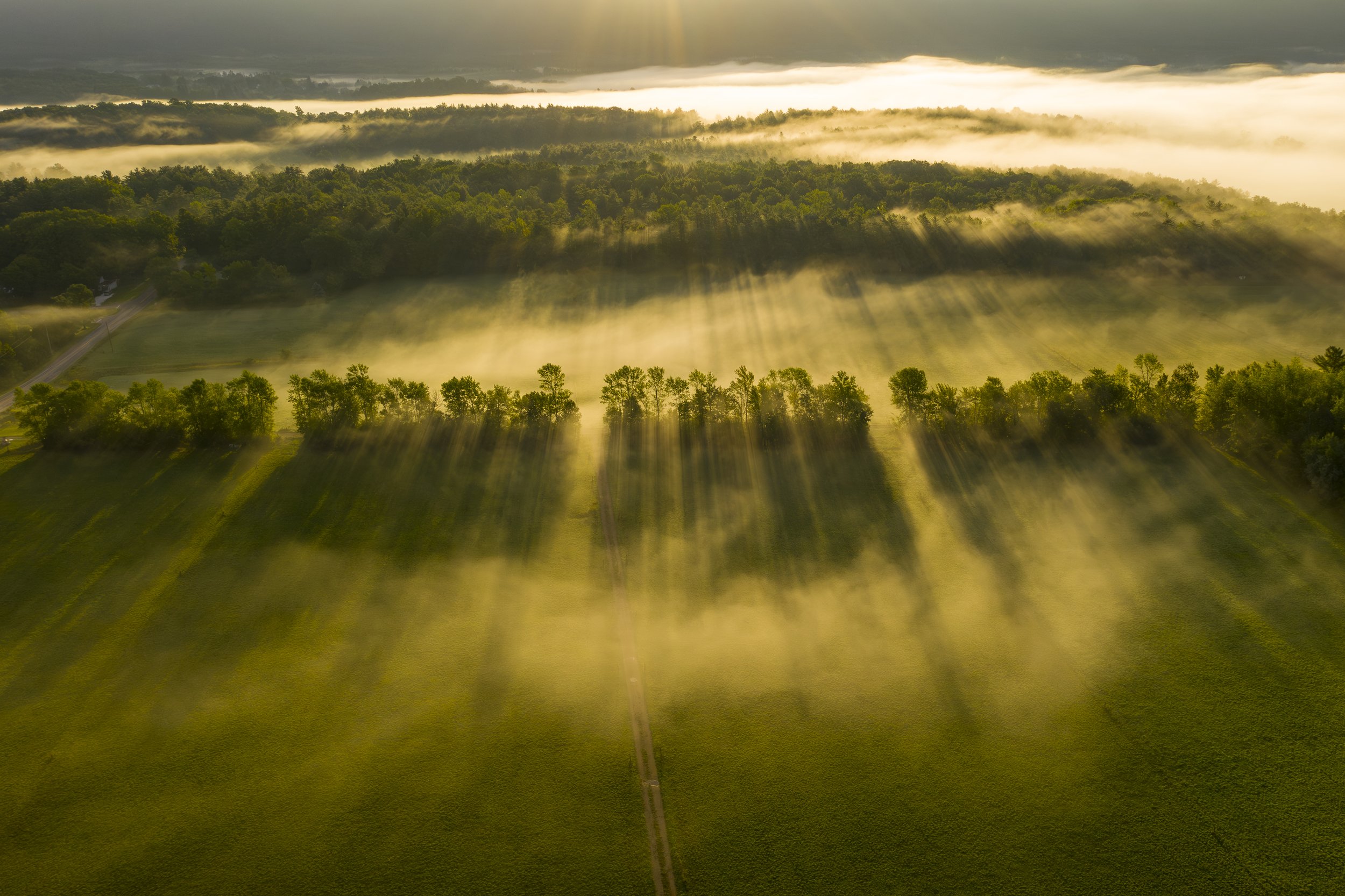 VermontMiddleburyFog-100.jpg