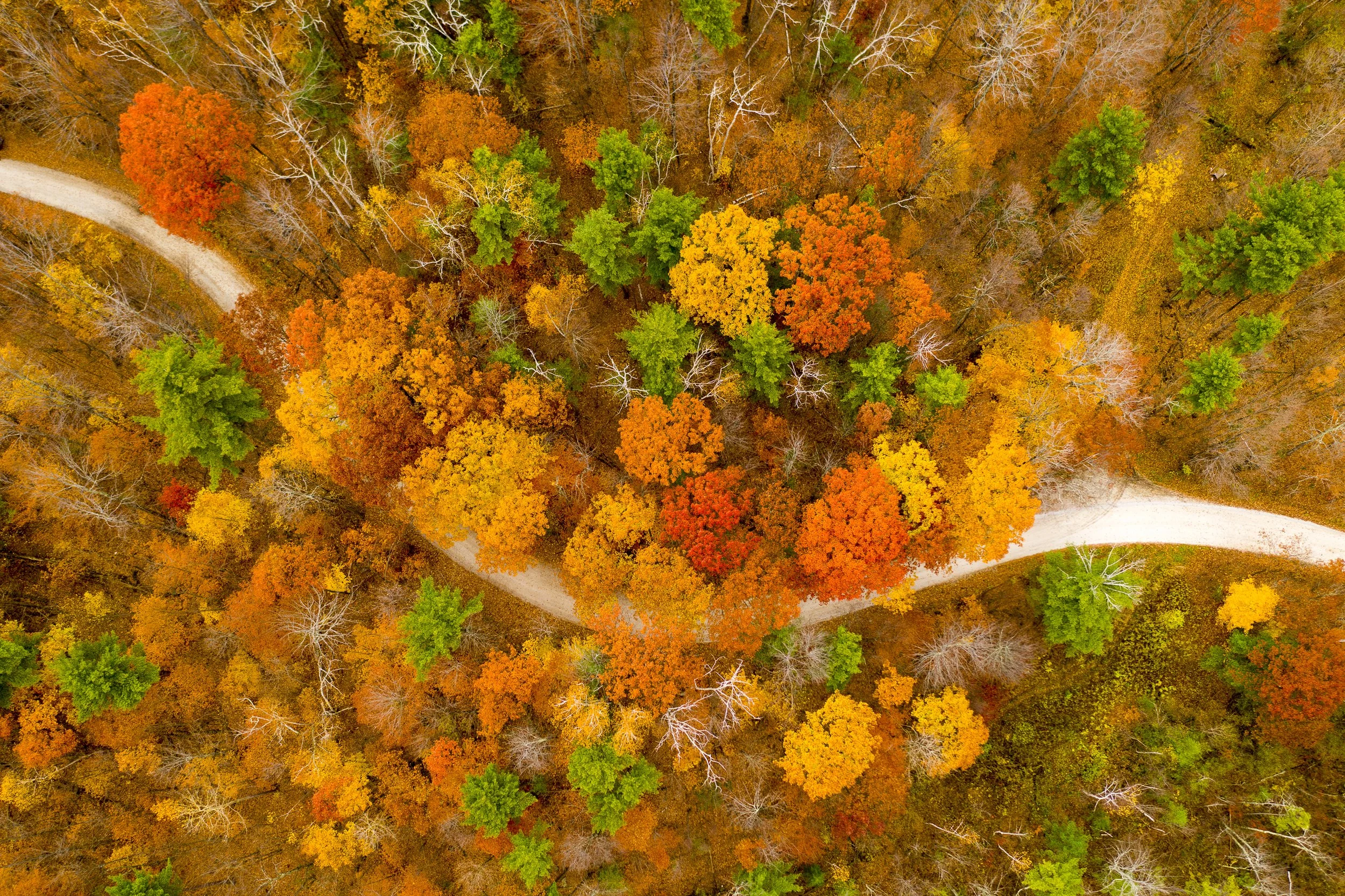 VermontSudburyFoliage-125.jpg