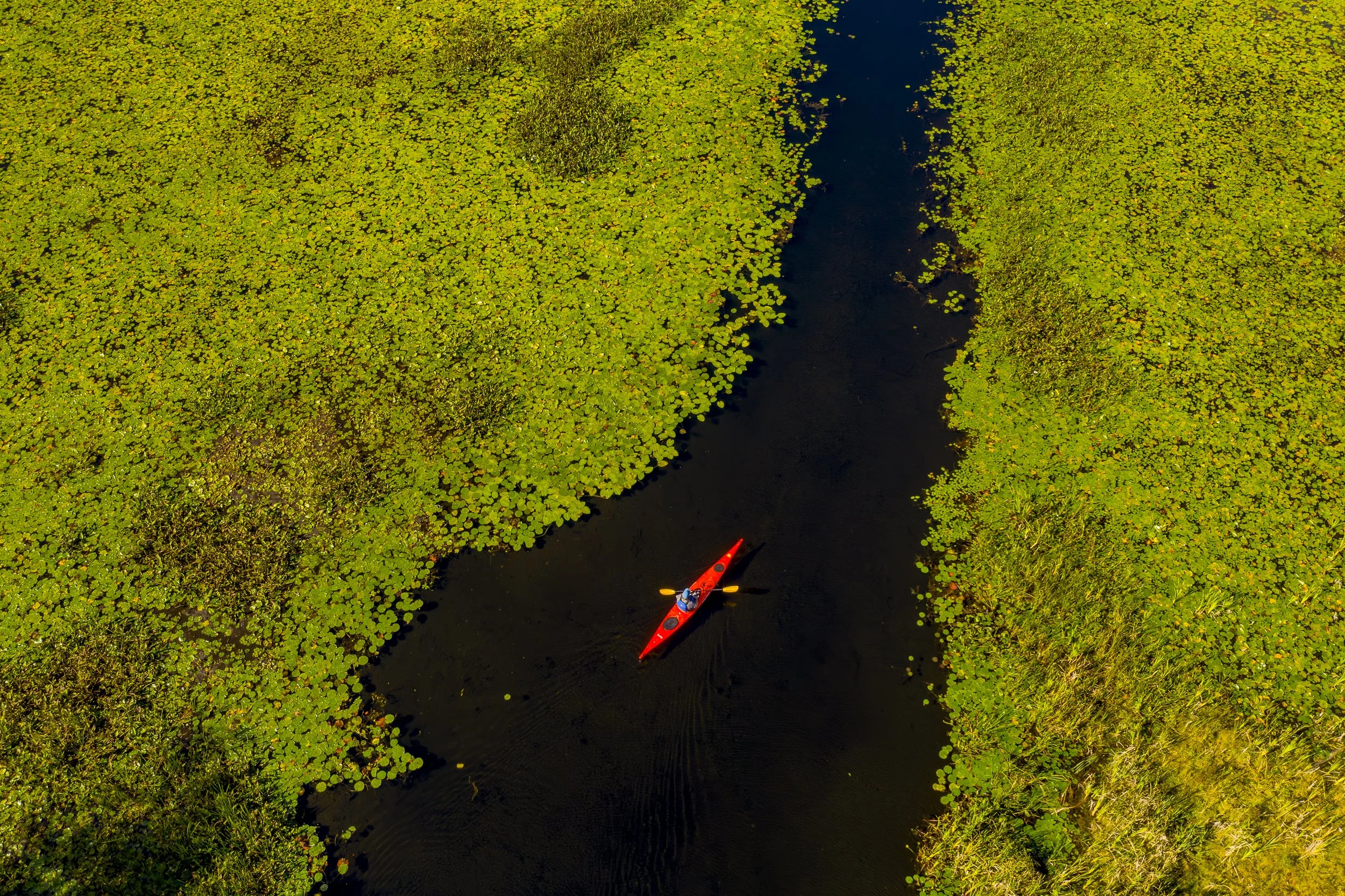 VermontHortoniaKayak-101.jpg
