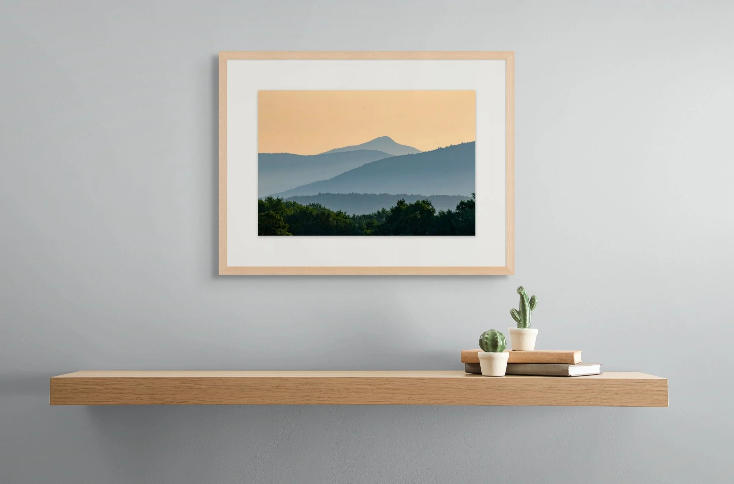 ck cactus-large.jpg