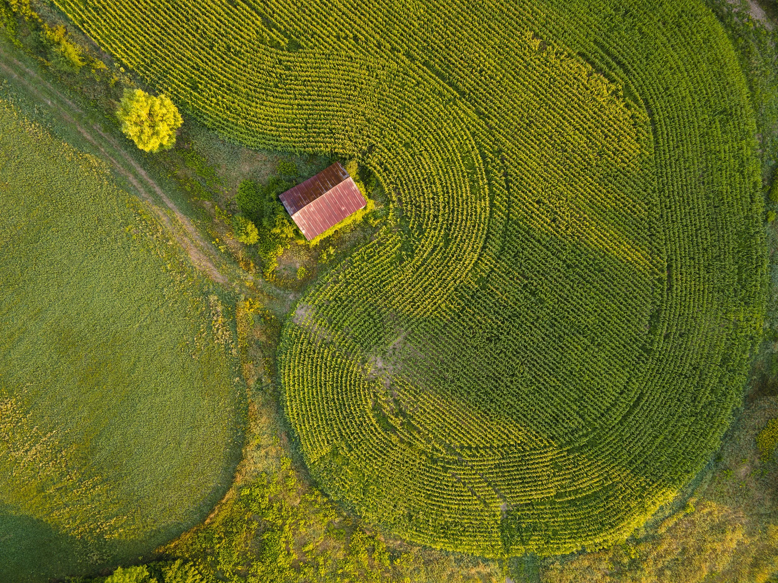 30 VermontPantonRedBarn-92.jpg
