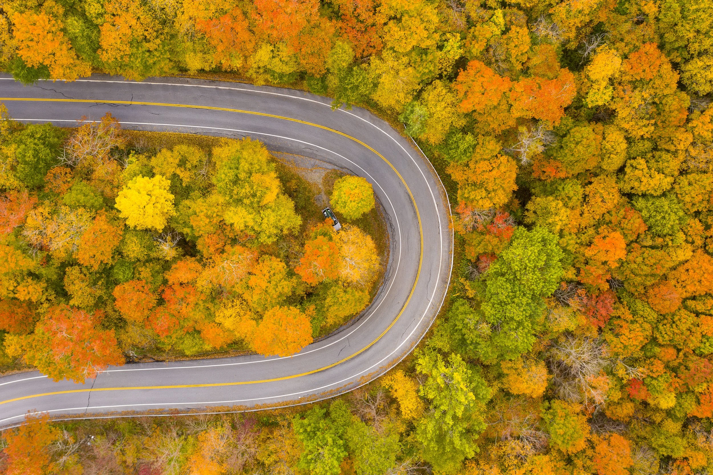 VermontBuelsGoreFallRoad-127.jpg