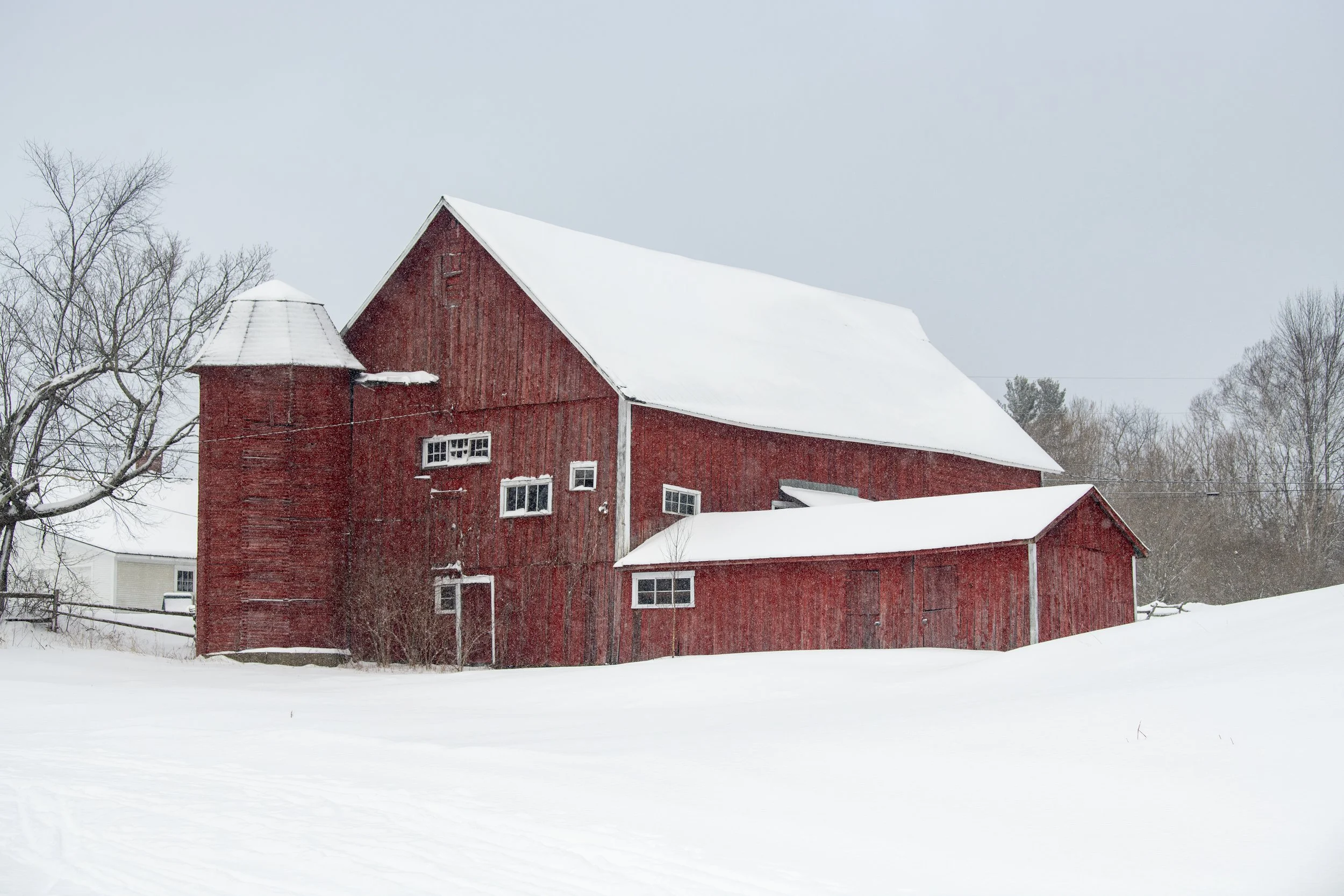 VermontCraftsburyBarn-173.jpg