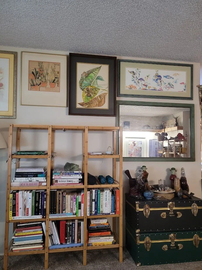A bookshelf filled with books, a black chest with decorative items, framed artwork of nature scenes and animals hanging on the wall.