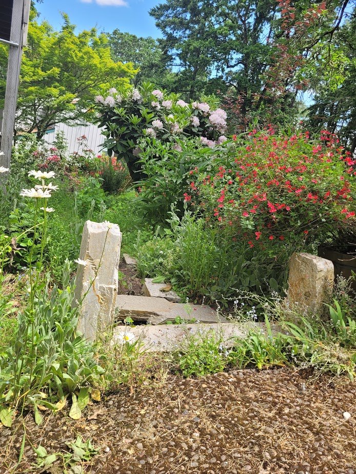 A garden pathway bordered with green plants, colorful flowers, and two large white stones. Trees and shrubs are visible under a clear blue sky.