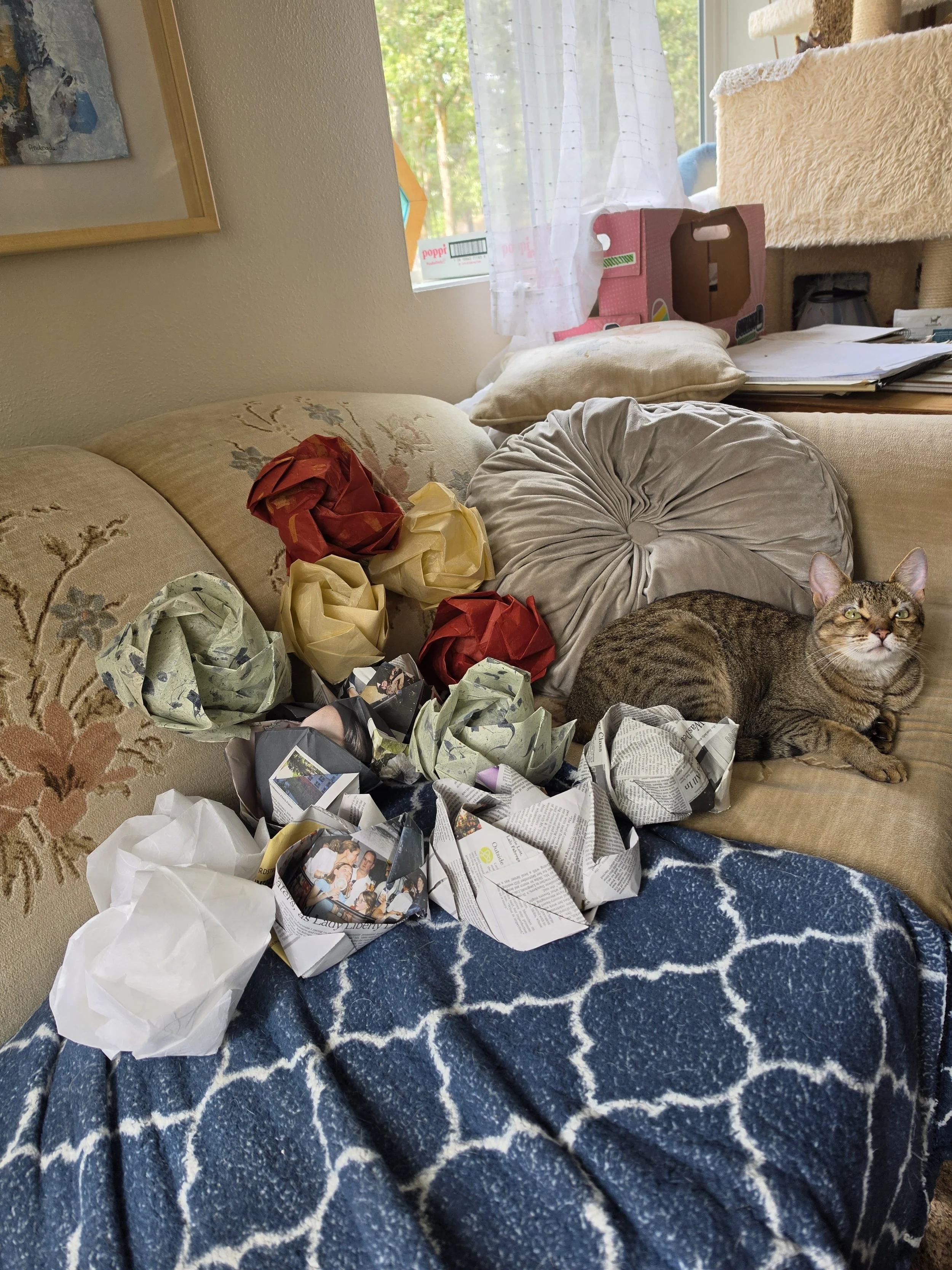 A cluttered living room with crumpled wrapping paper on a blue patterned rug, a tabby cat lying next to the paper, and a beige sofa with pillows. A window with white curtains shows green trees outside. There are boxes, papers, and a cardboard gift box on the sofa.