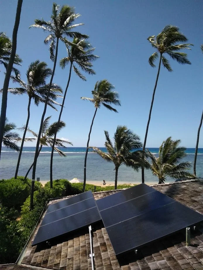View of a beach with tall palm trees, blue sky, ocean, and solar panels on a rooftop in the foreground.