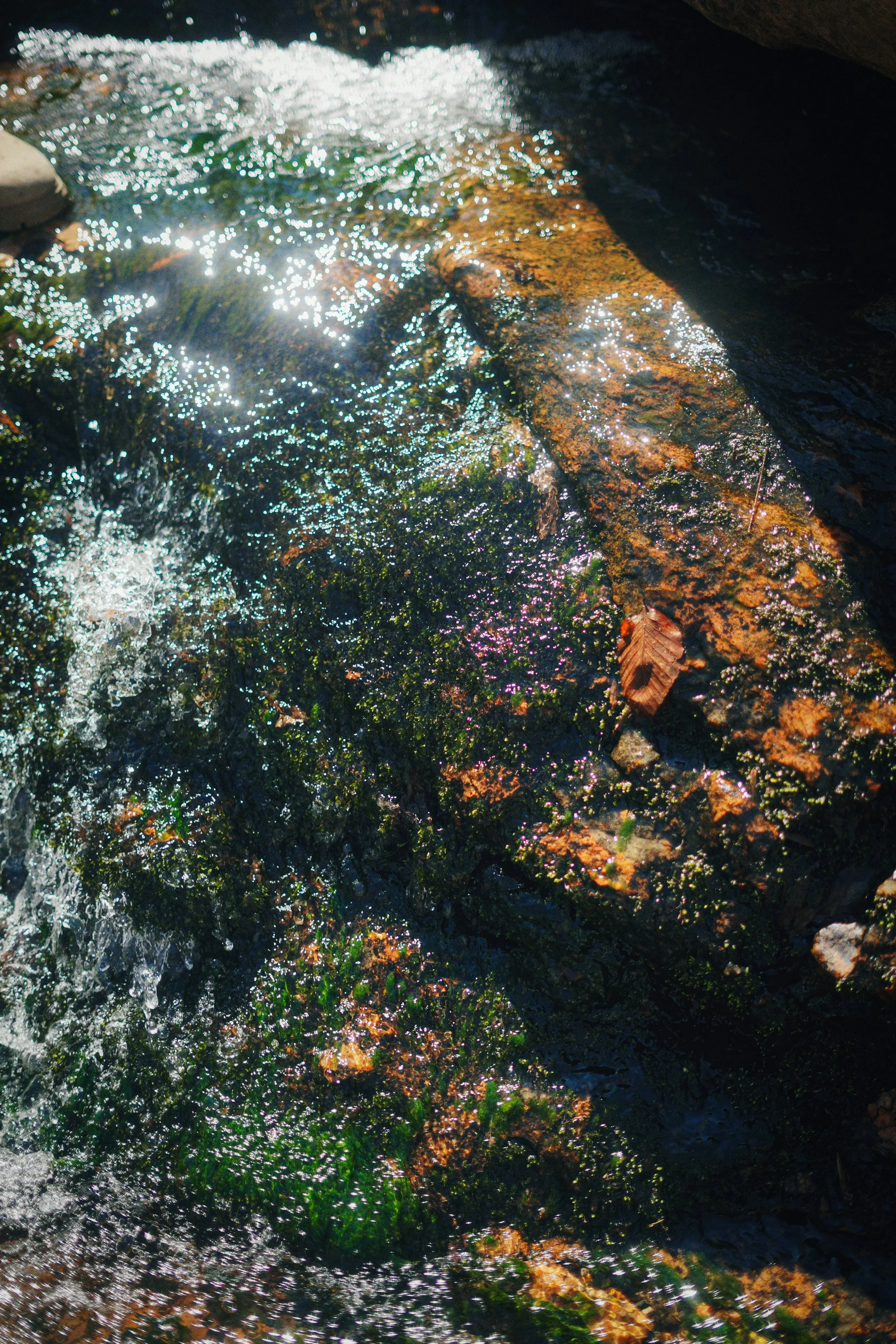 DSC04925_Afterlight.JPEG