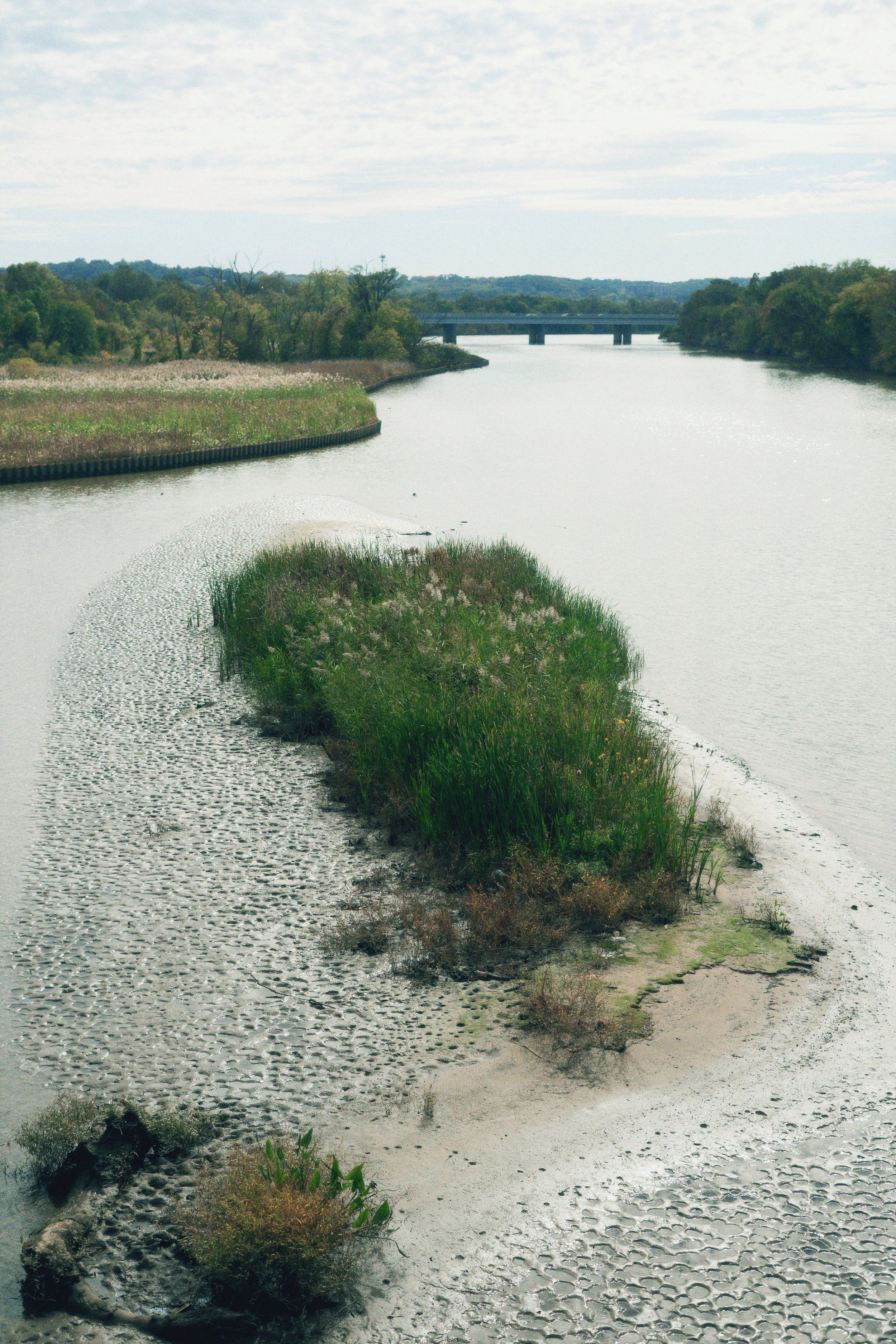 DSC08459_Afterlight.JPEG