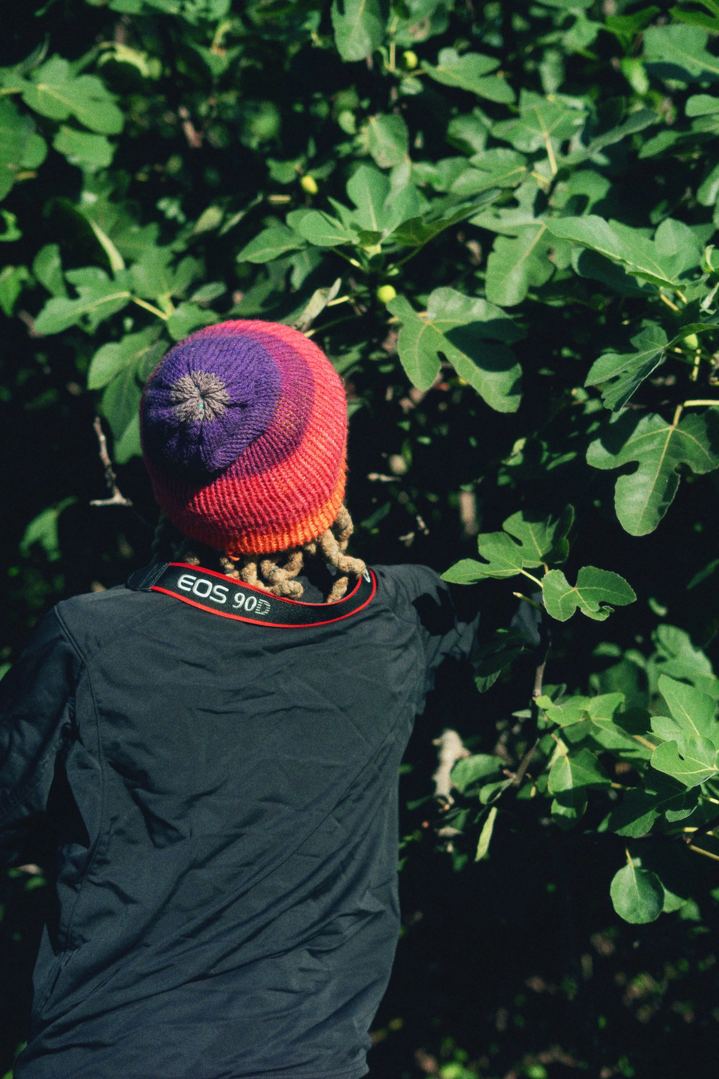 DSC03173_Afterlight.JPEG