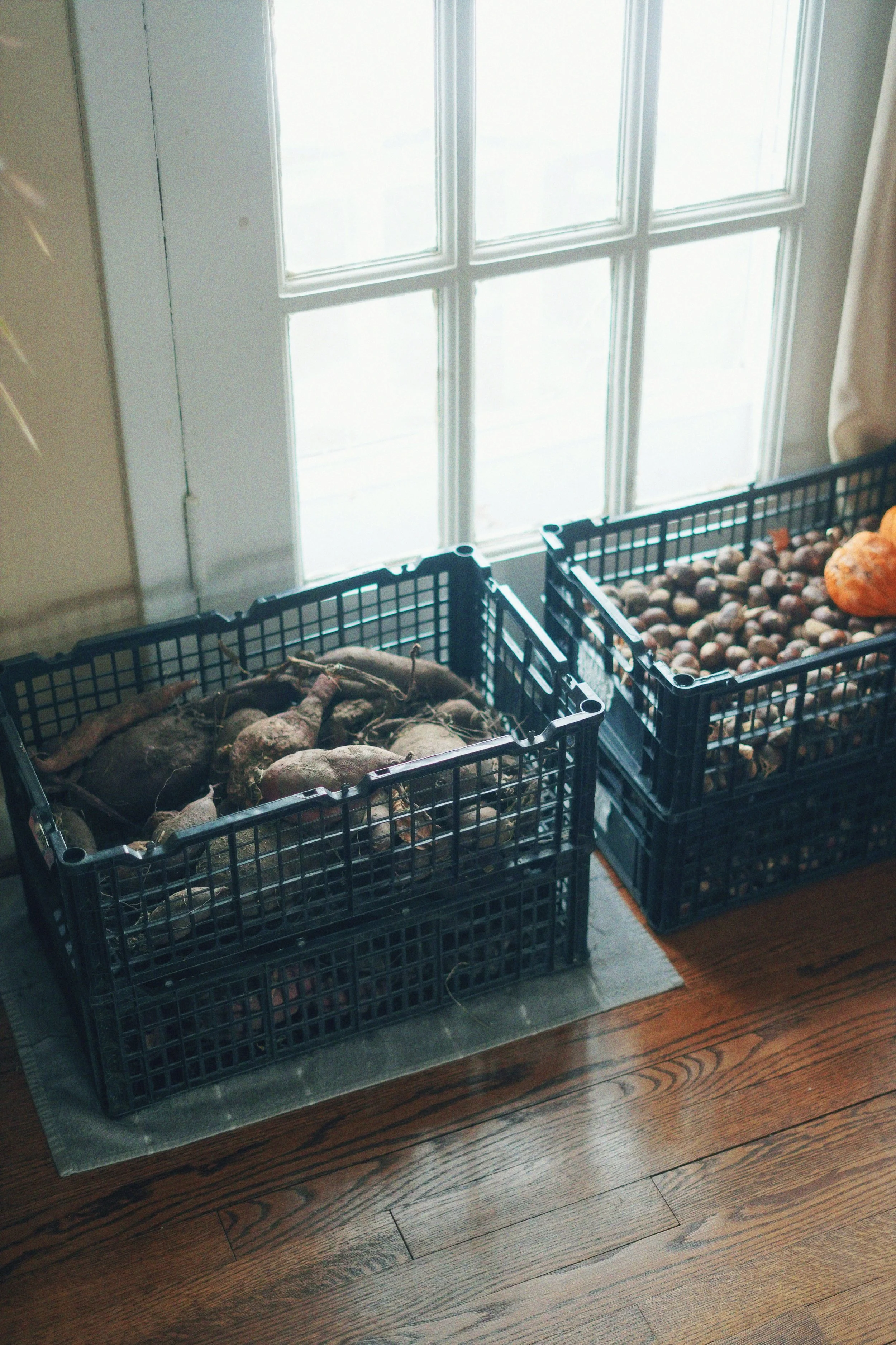 DSC01988_Afterlight.JPEG