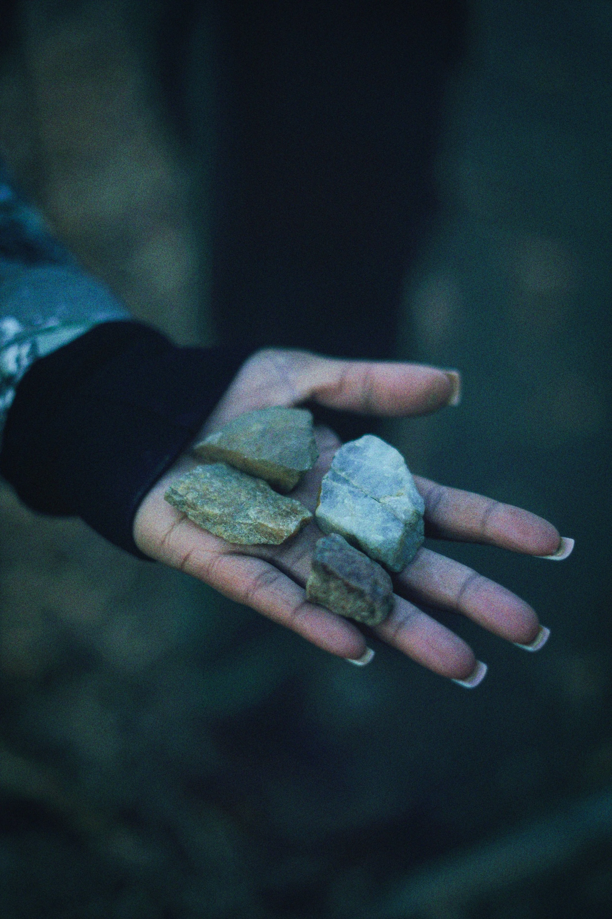 DSC09716_Afterlight.JPEG