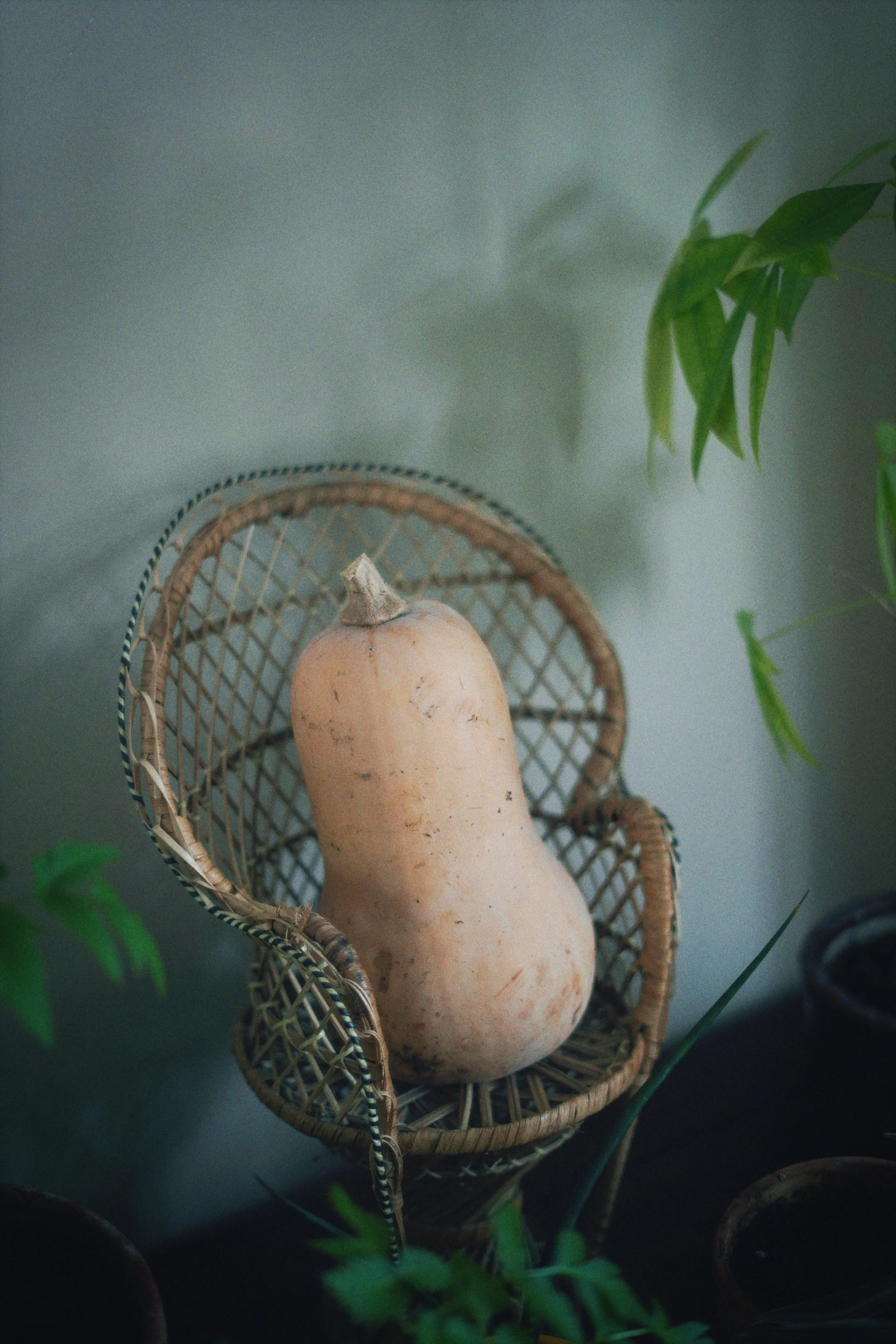 DSC01987_Afterlight.JPEG