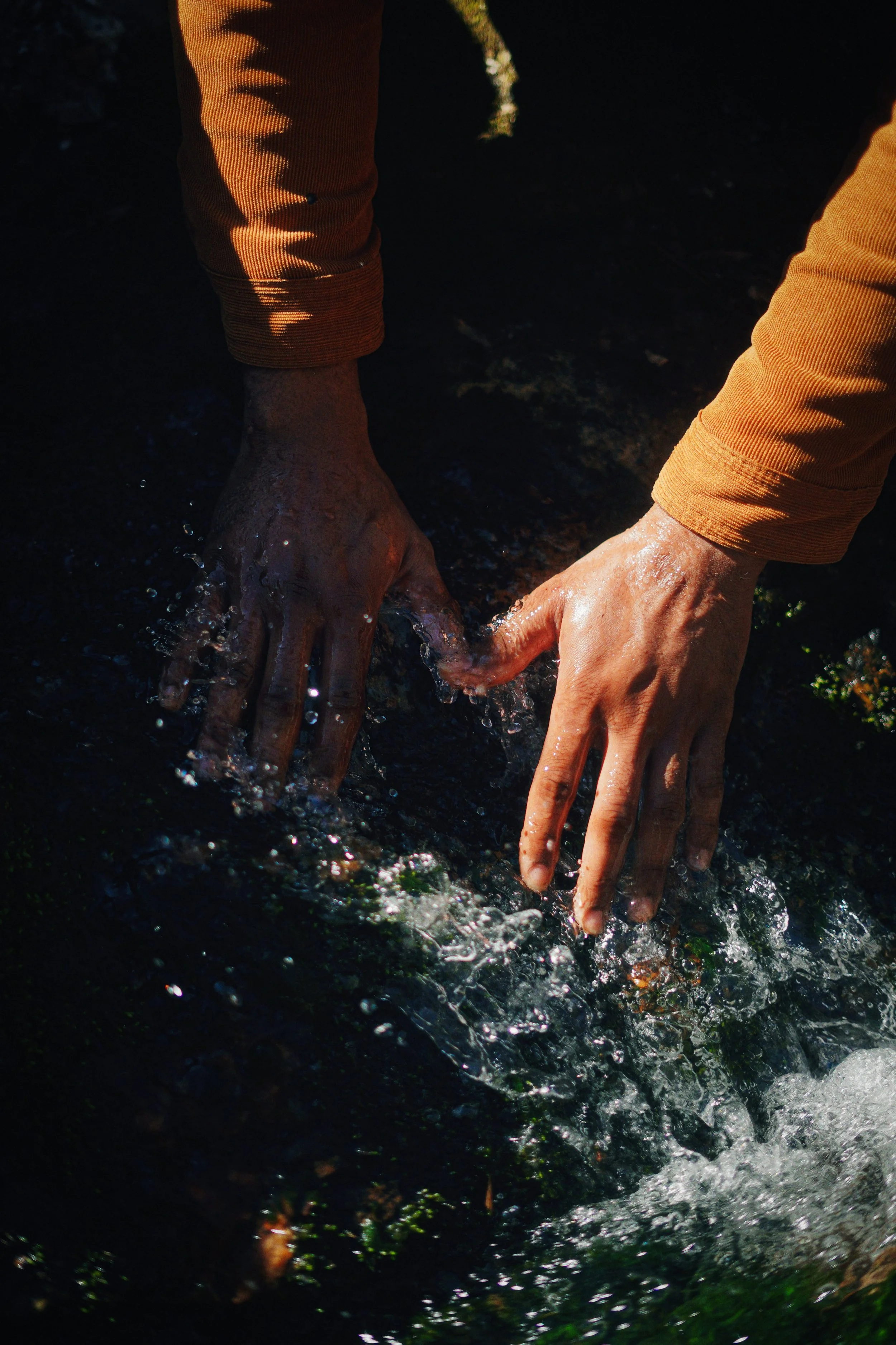 DSC04924_Afterlight.JPEG