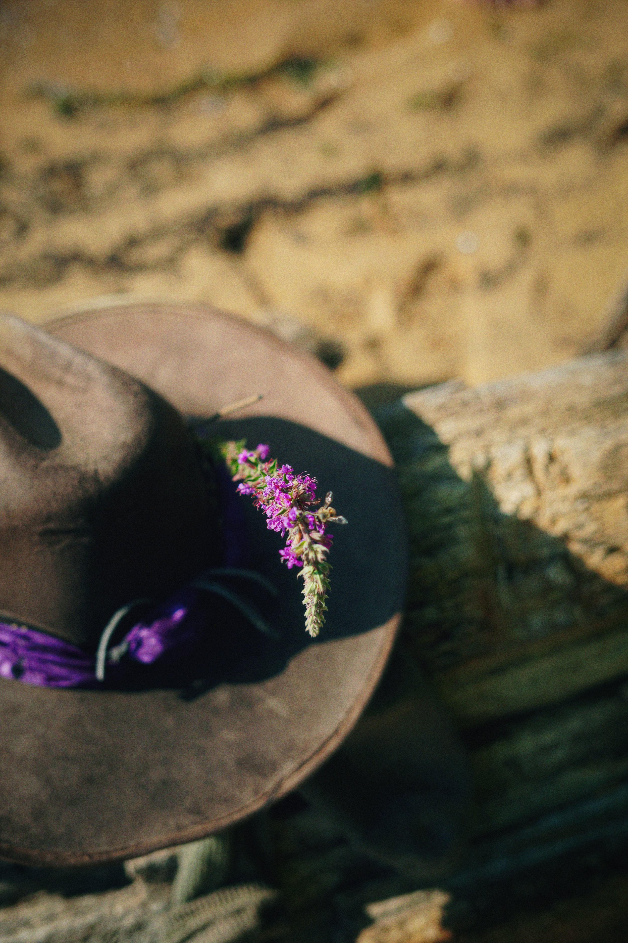 DSC02798_Afterlight.JPEG