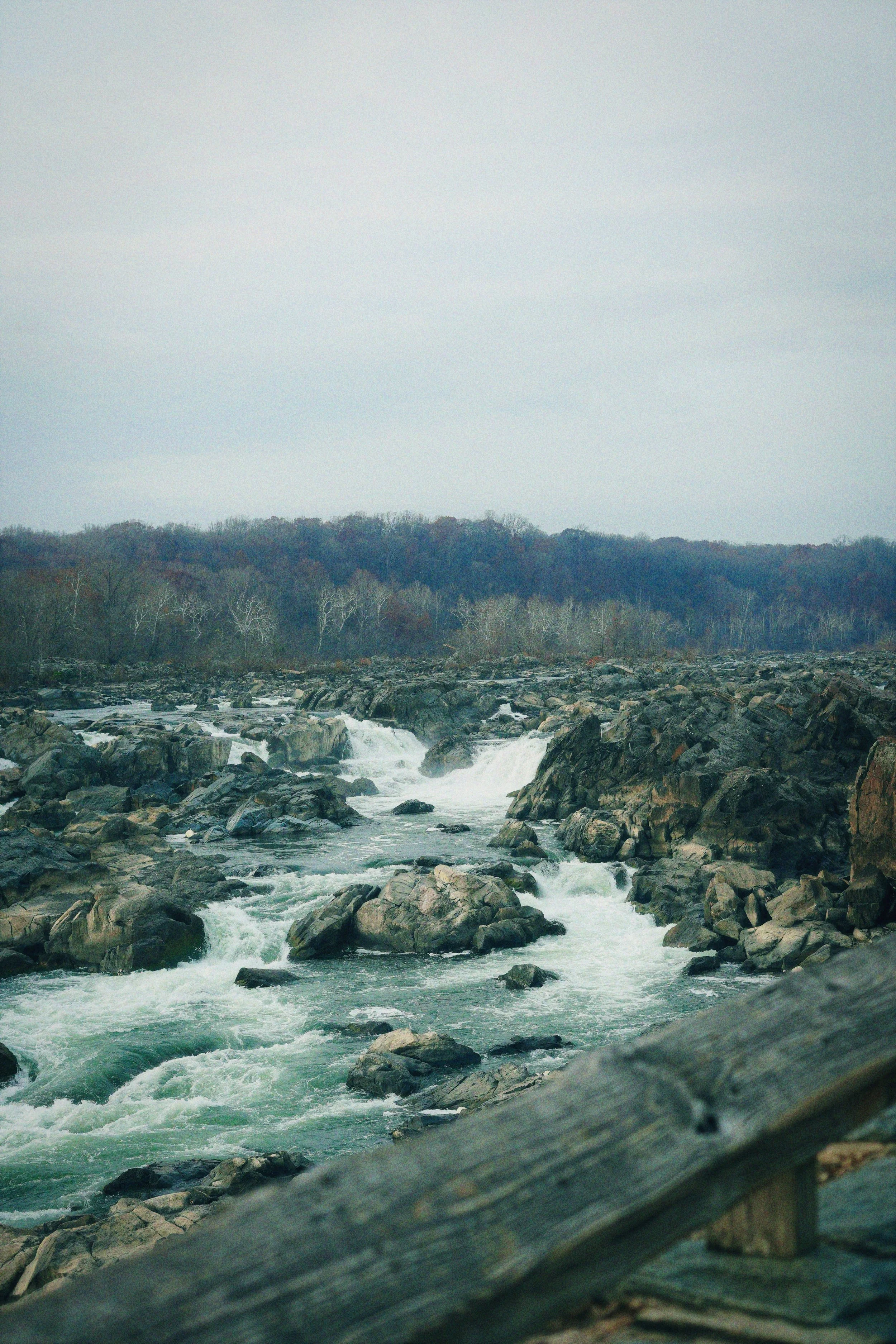 DSC00163_Afterlight.JPEG
