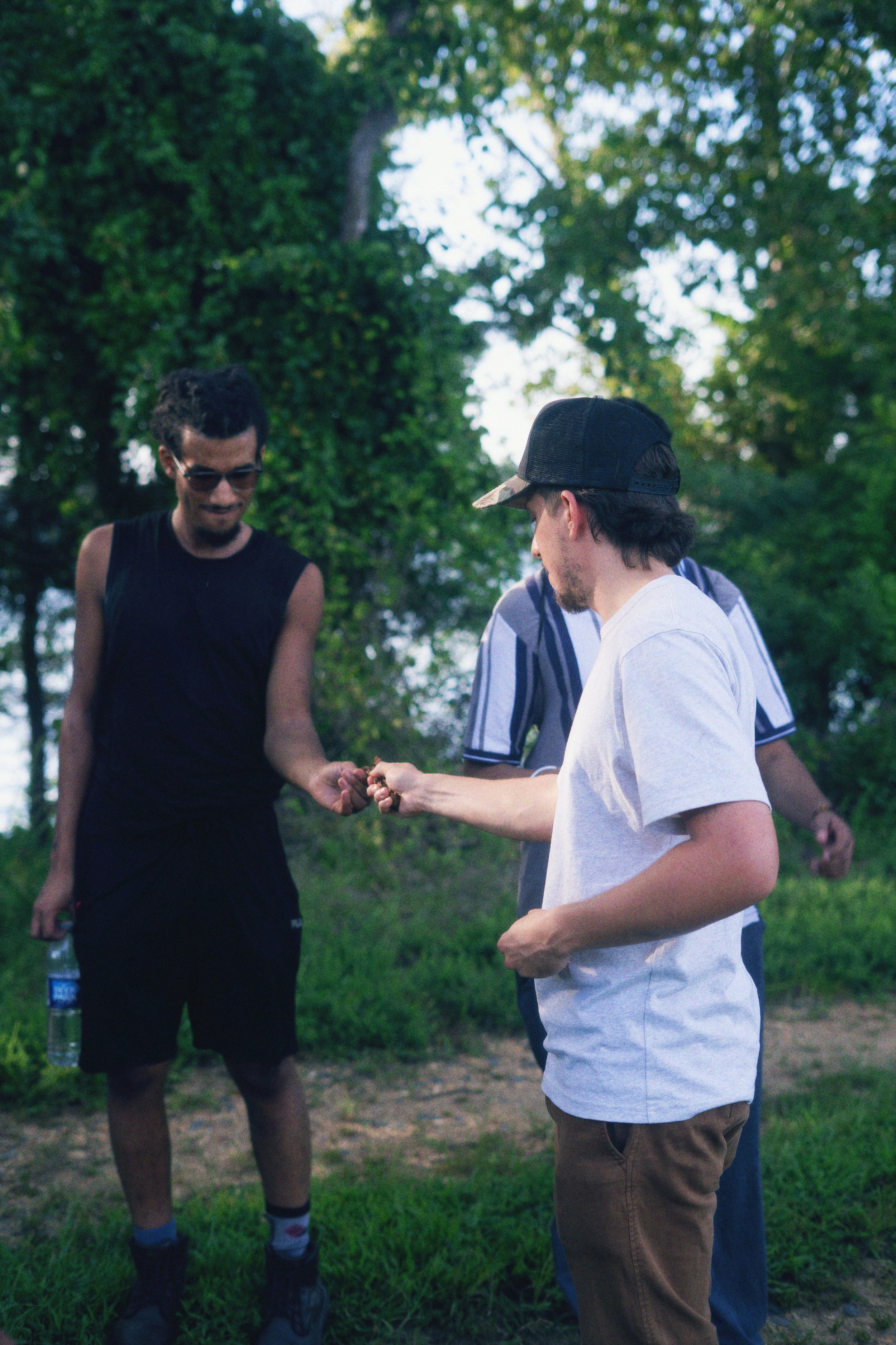 DSC03233_Afterlight.JPEG
