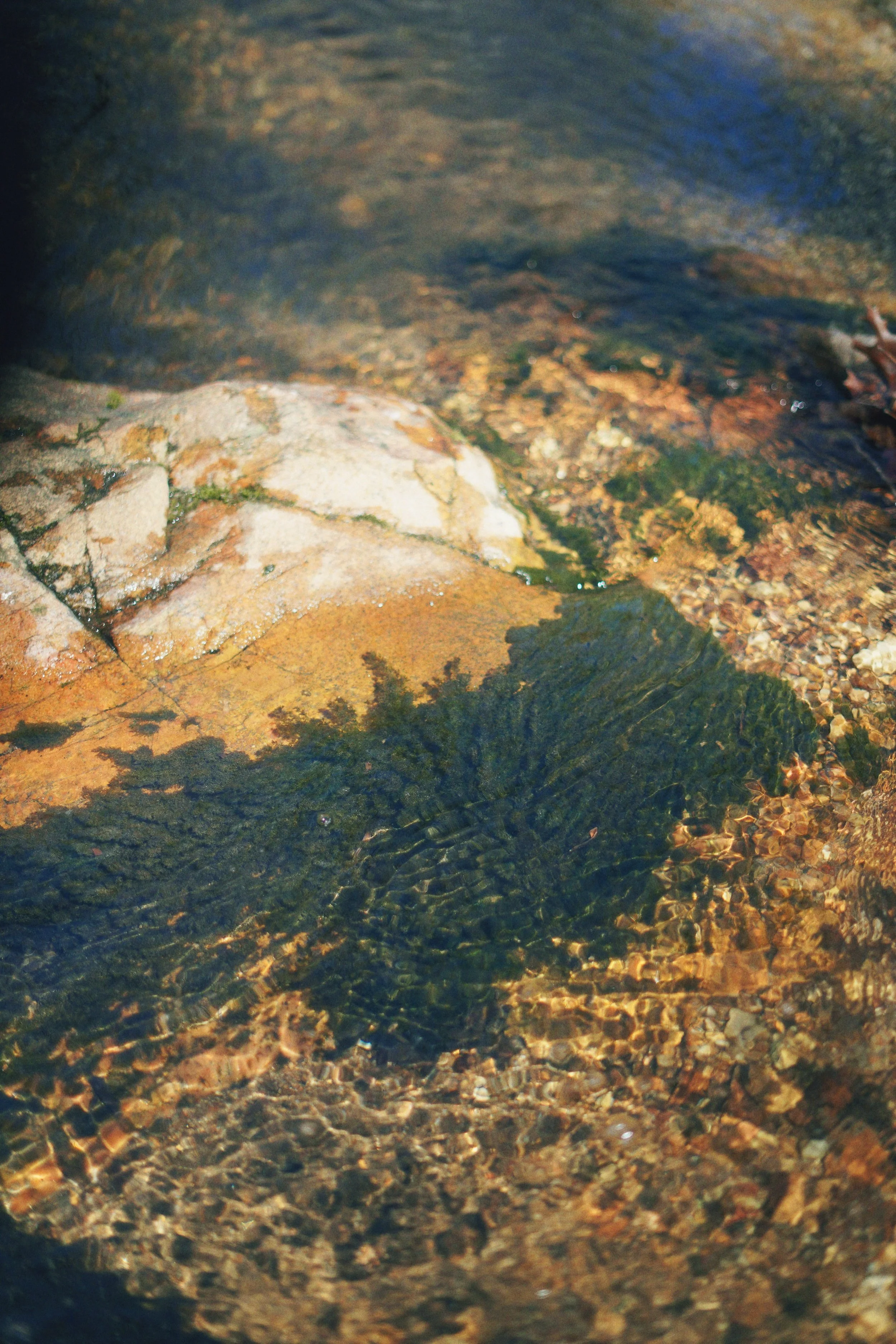 DSC04920_Afterlight.JPEG