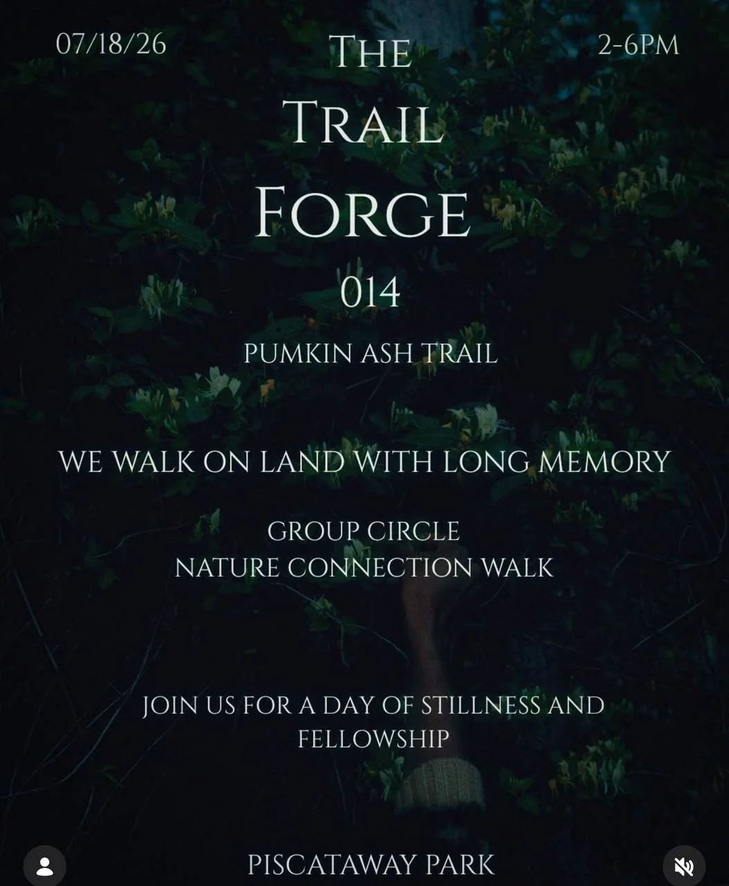 The Trail Forge 14