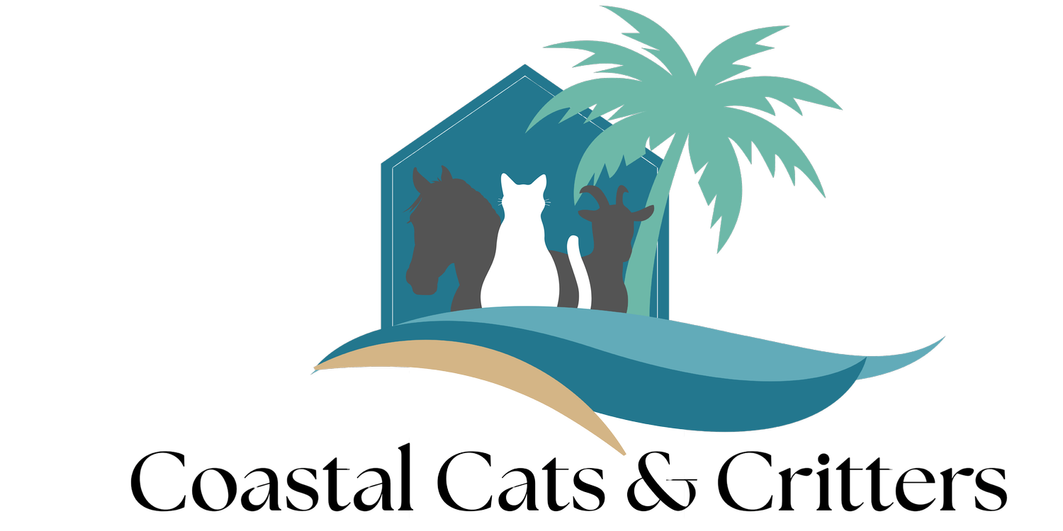 Coastal Cats &amp; Critters