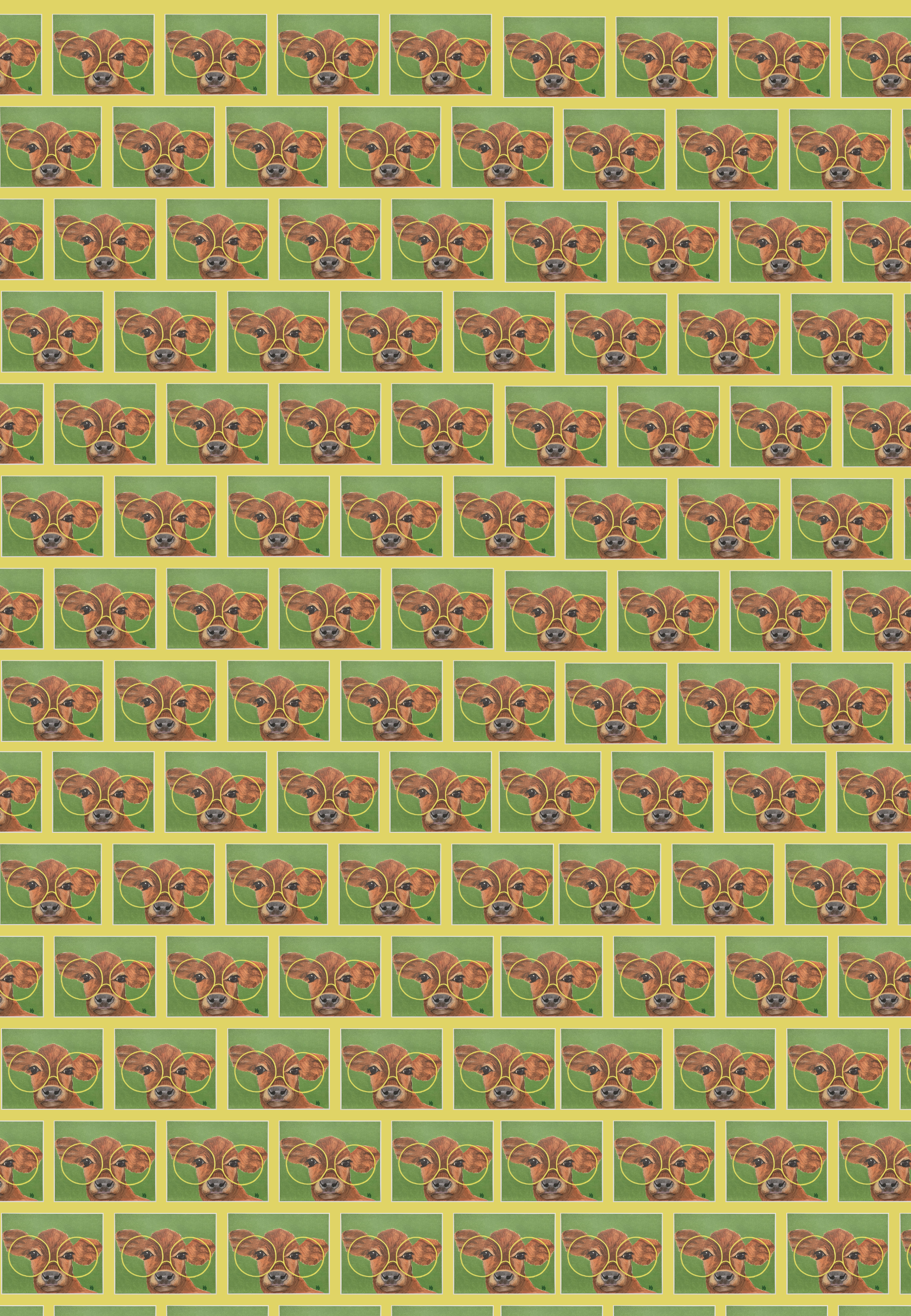 Cow in Glasses Gift Wrap