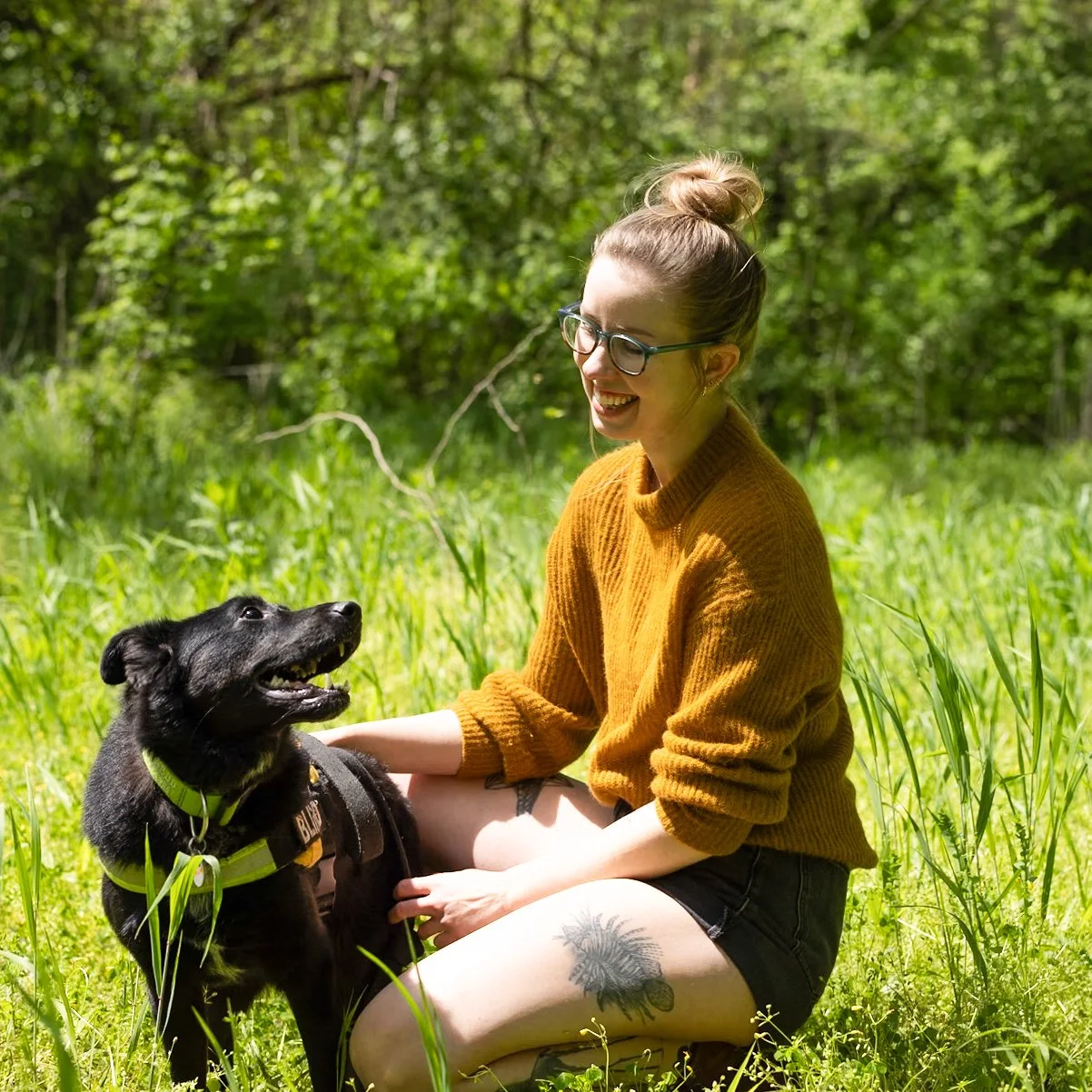 A woman with glasses and a bun hairstyle, wearing a mustard-colored sweater and black shorts, sitting in a grassy field with tall trees in the background, smiling at a black dog with a green harness.