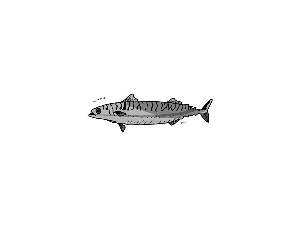 fish.jpg
