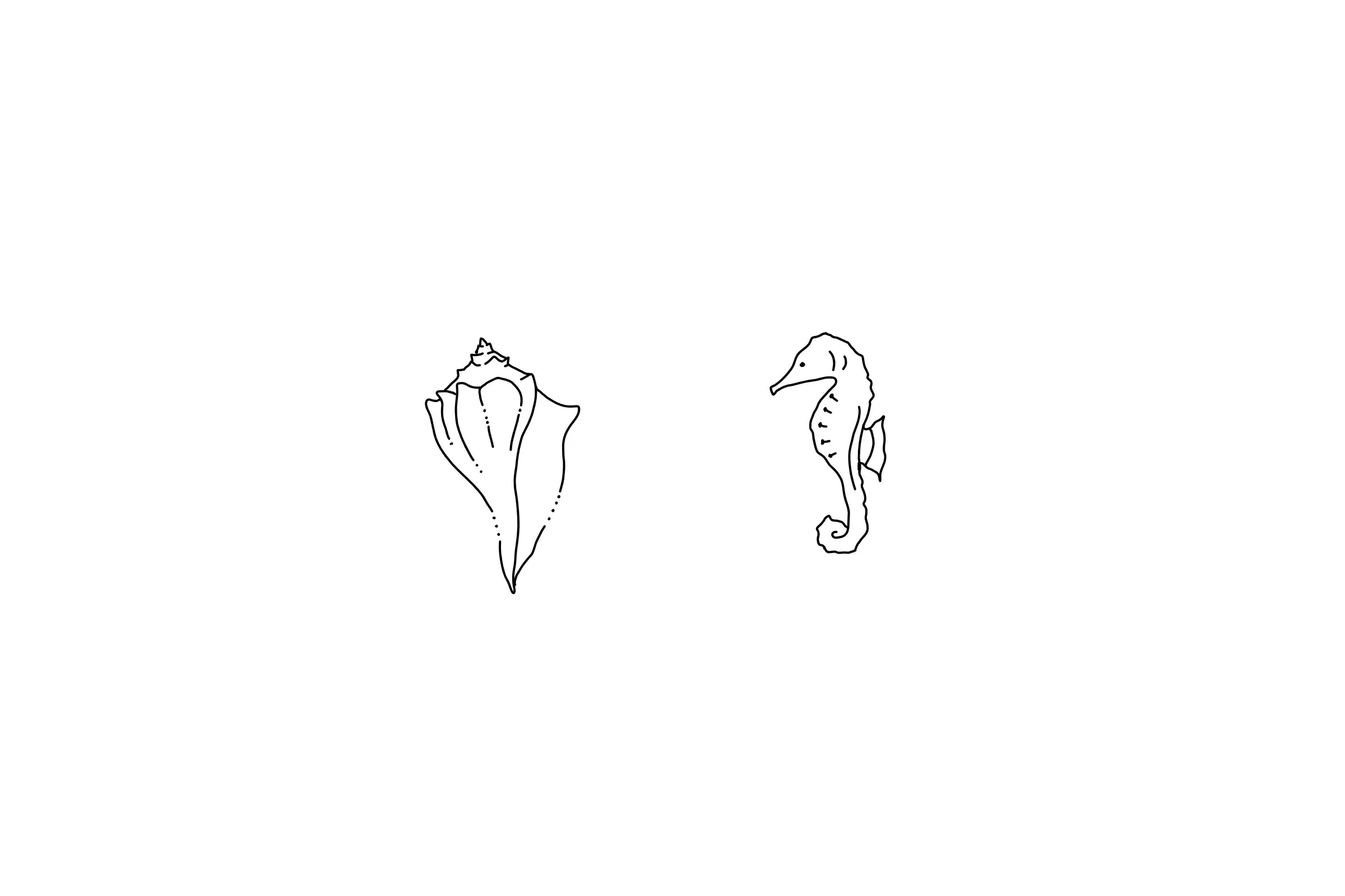 shell and sea horse march 8 2023.jpg