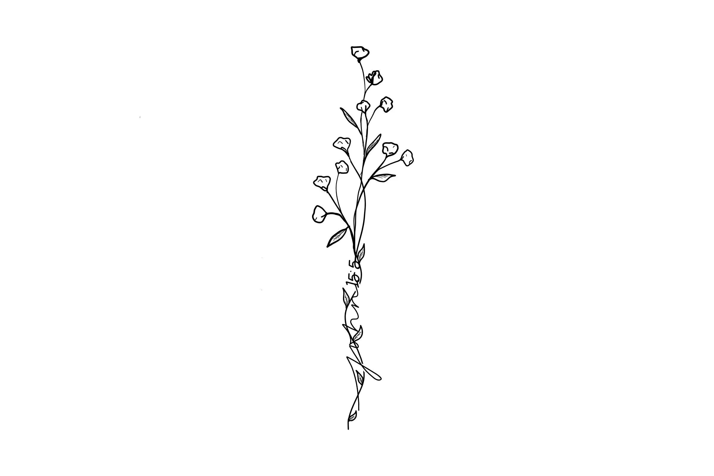 madistat w vine.jpg