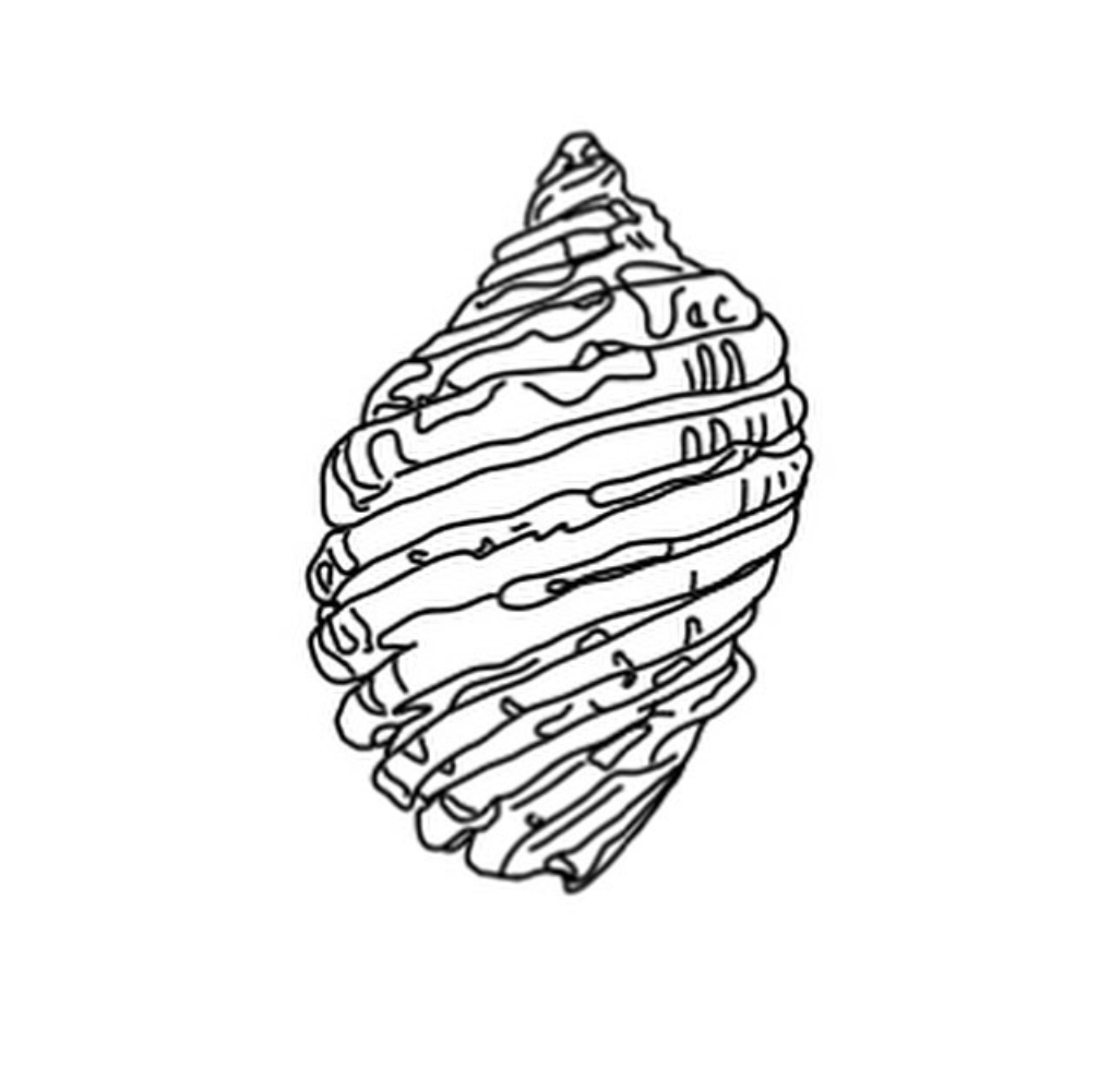 livshell.png