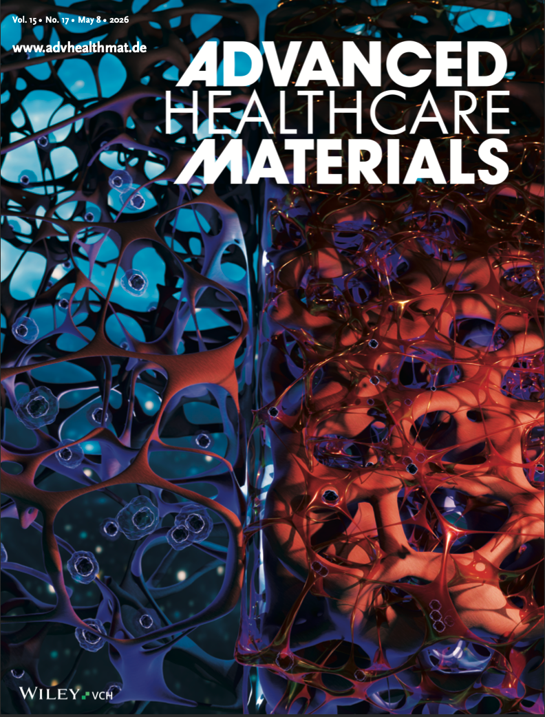 Advanced Healthcare Materials journal cover featuring a scientific illustration of  cardiac cell maturation in soft and reinforced biomaterial matrices