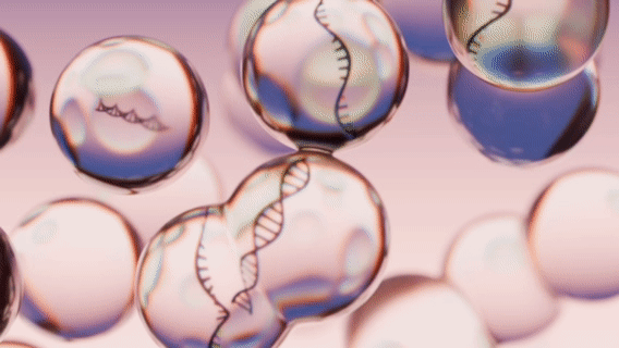 3D scientific visualization of DNA  and RNA encapsulation inside transparent spherical particles
