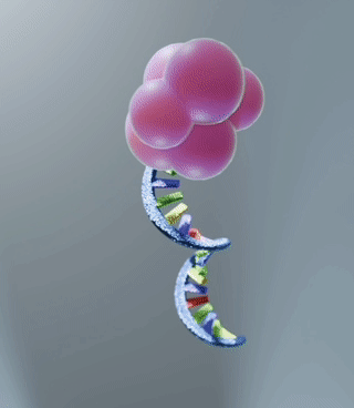 target molecule biosensor 3D visualisation