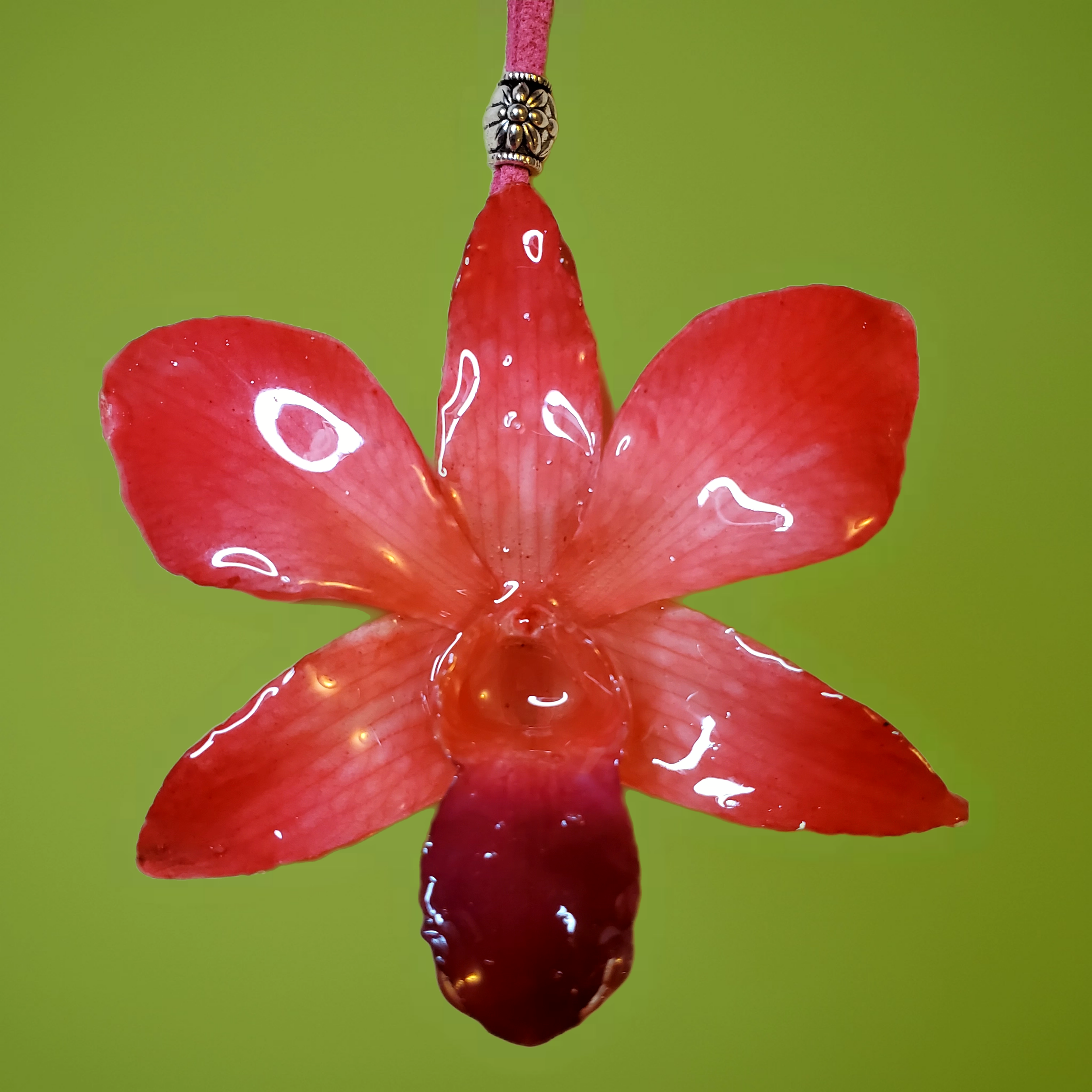 Bazaart_20251228_052451_873.png (Copy)