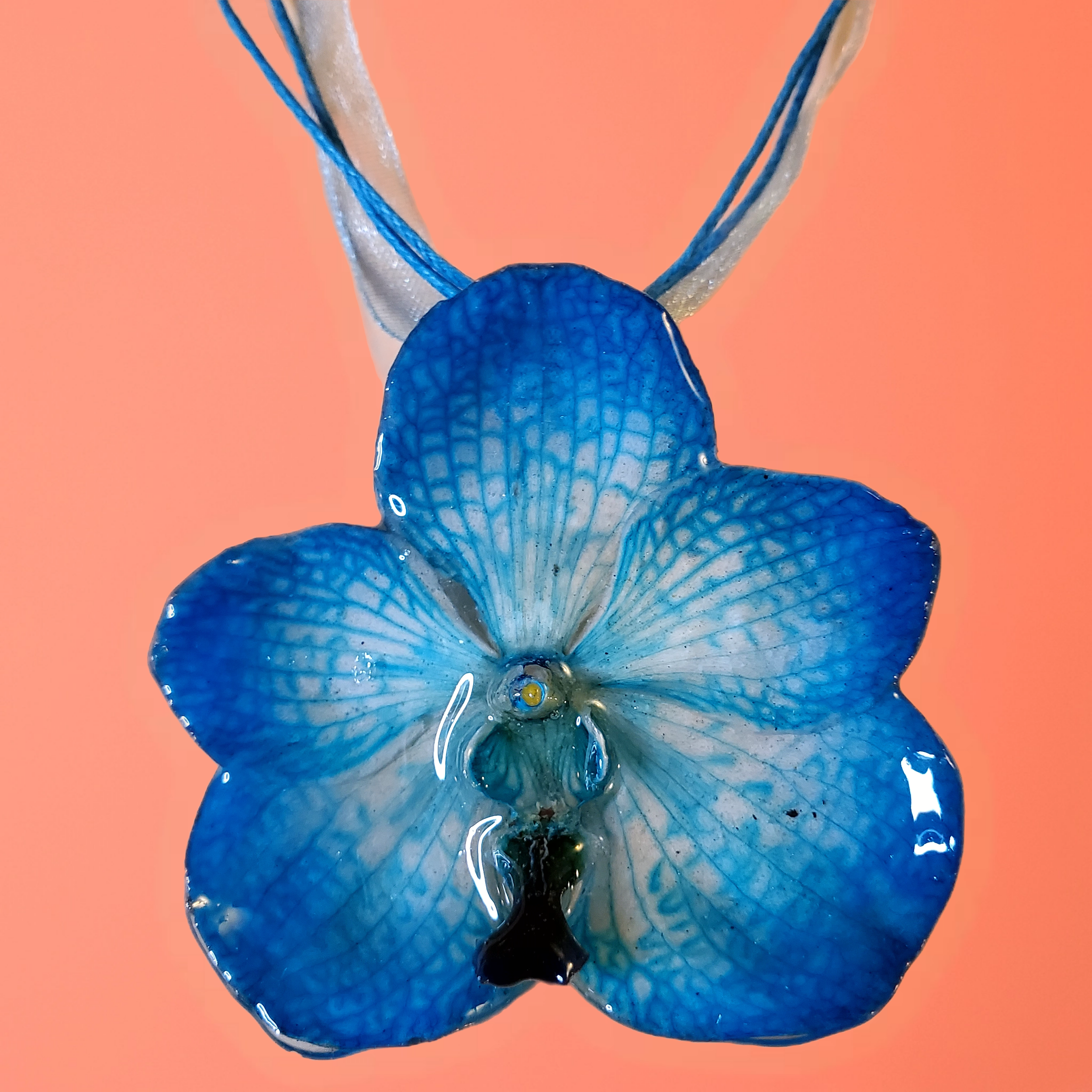 Bazaart_20251228_051016_182.png (Copy)