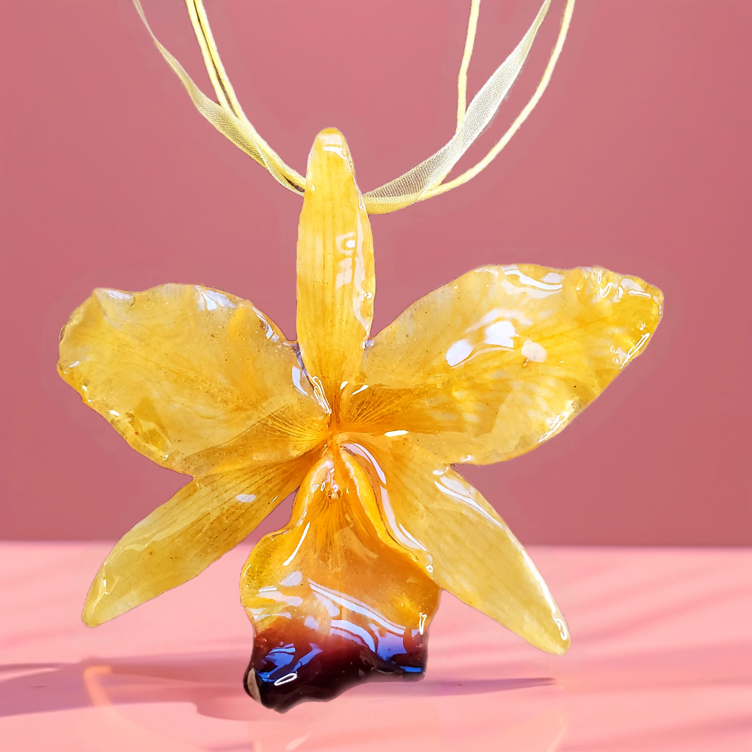Bazaart_20260514_082525_561.png (Copy)