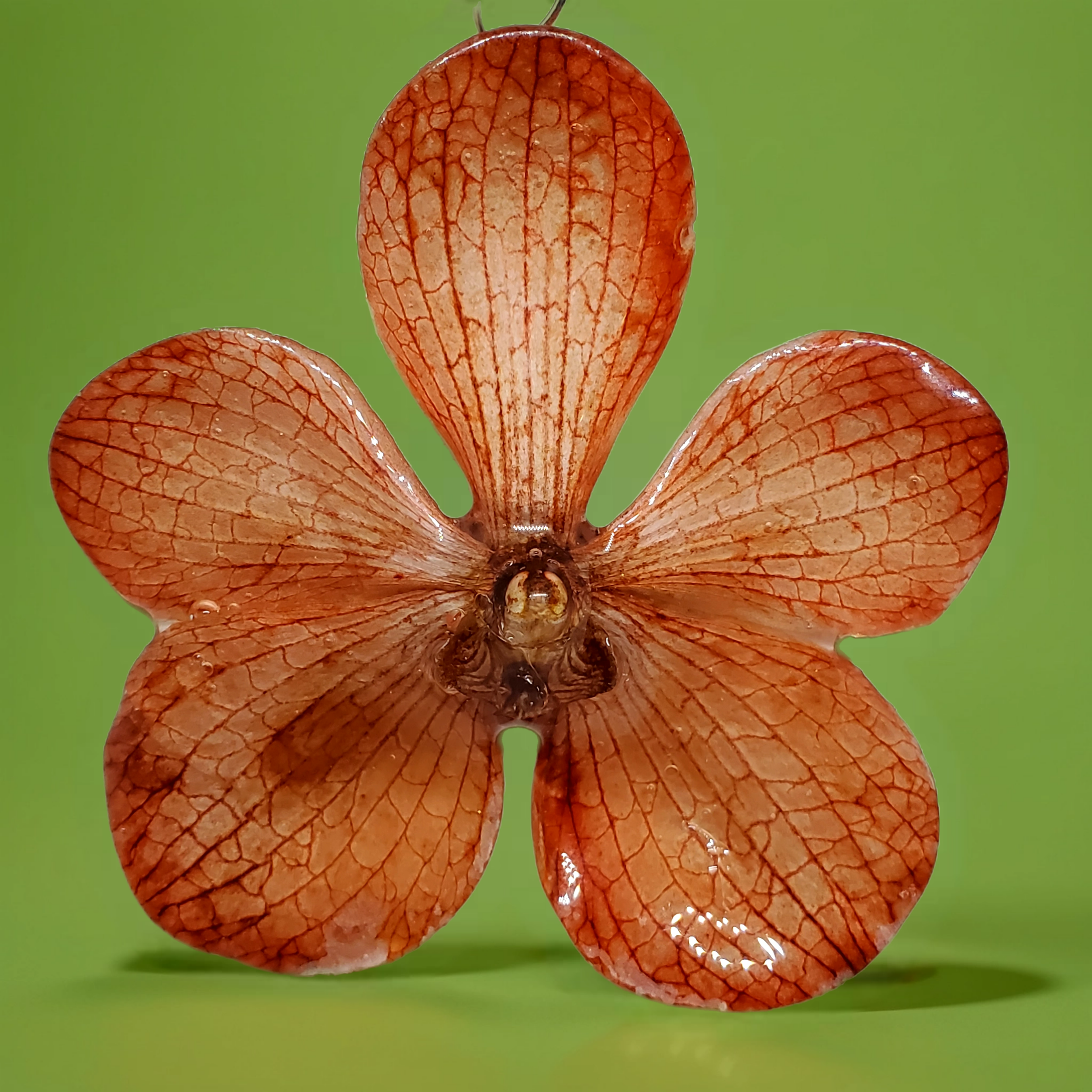 Bazaart_20260519_112536_832.png (Copy)