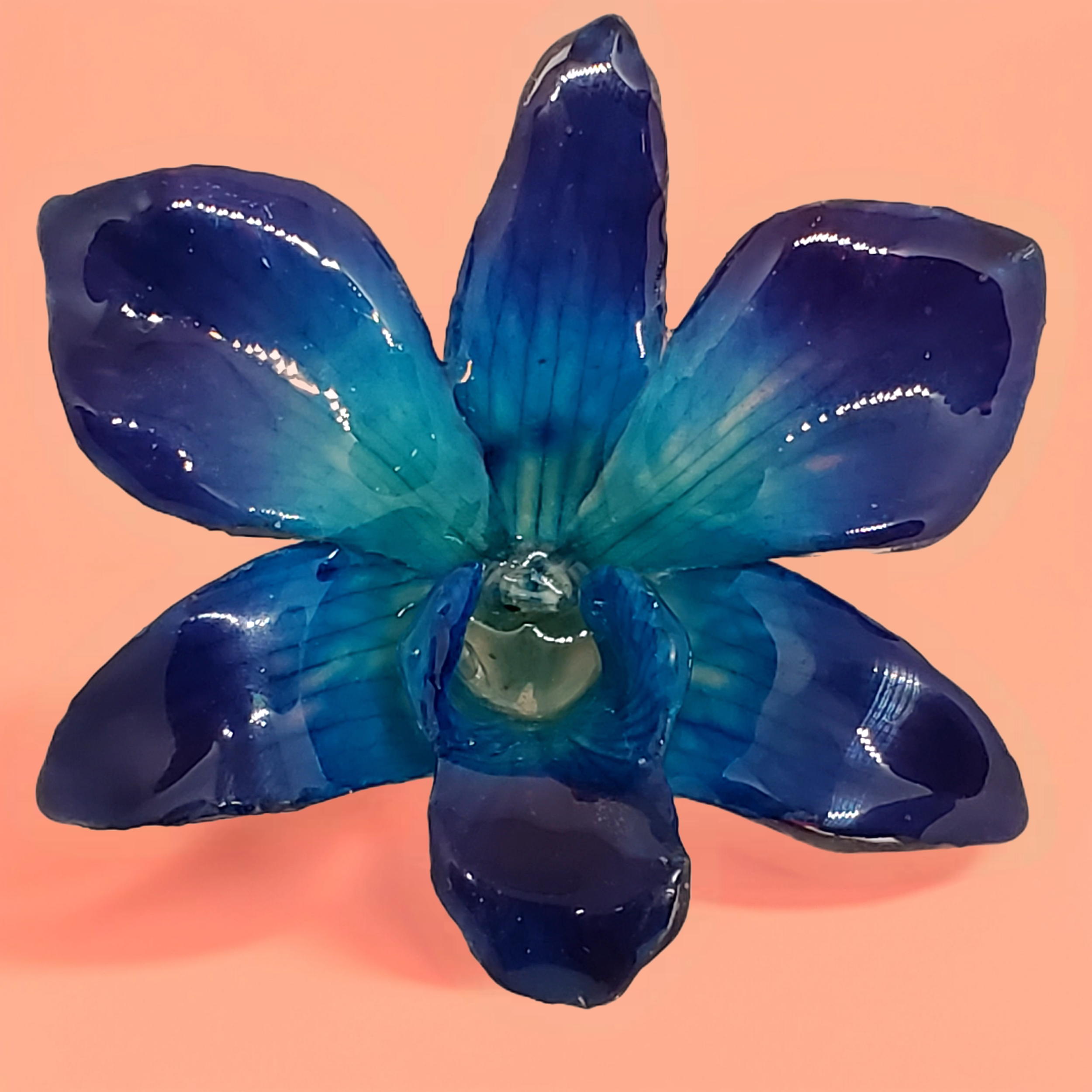 Bazaart_20260519_104145_713.png (Copy)