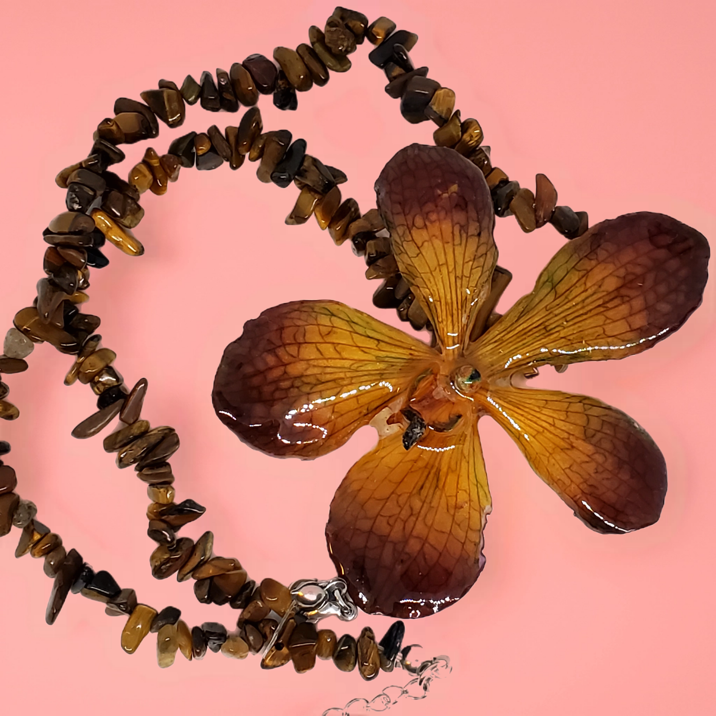 Bazaart_20260520_100221_845.png (Copy)
