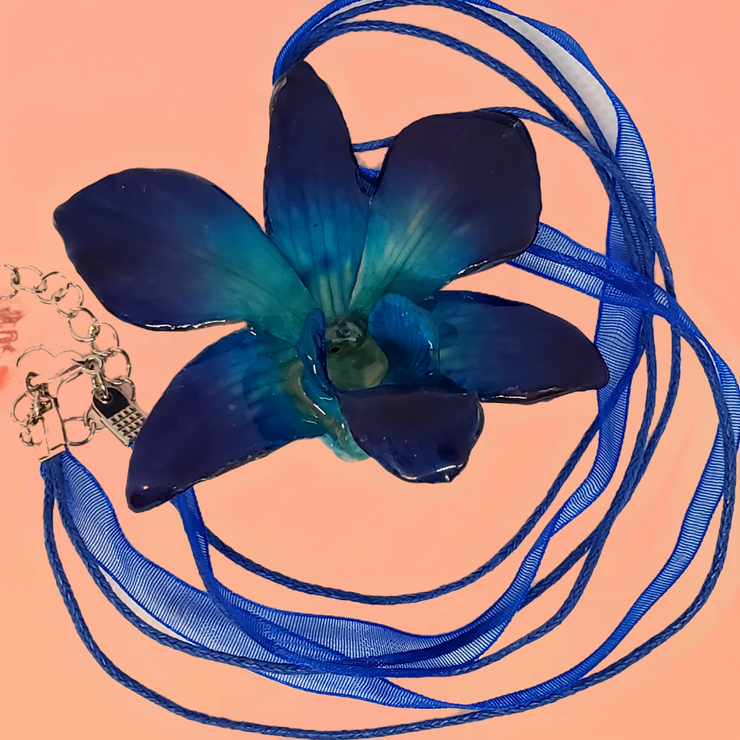 Bazaart_20260519_104347_310.png (Copy)